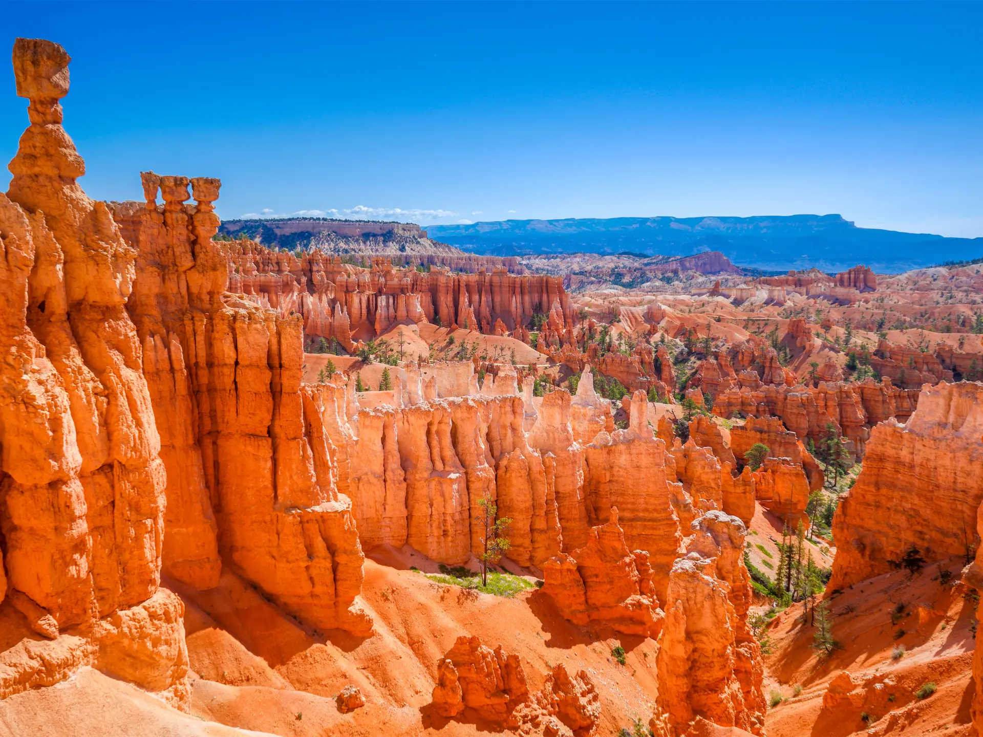 dag 12-13shutterstock_232015471 The Bryce Canyon National Park, Utah, United States.jpg