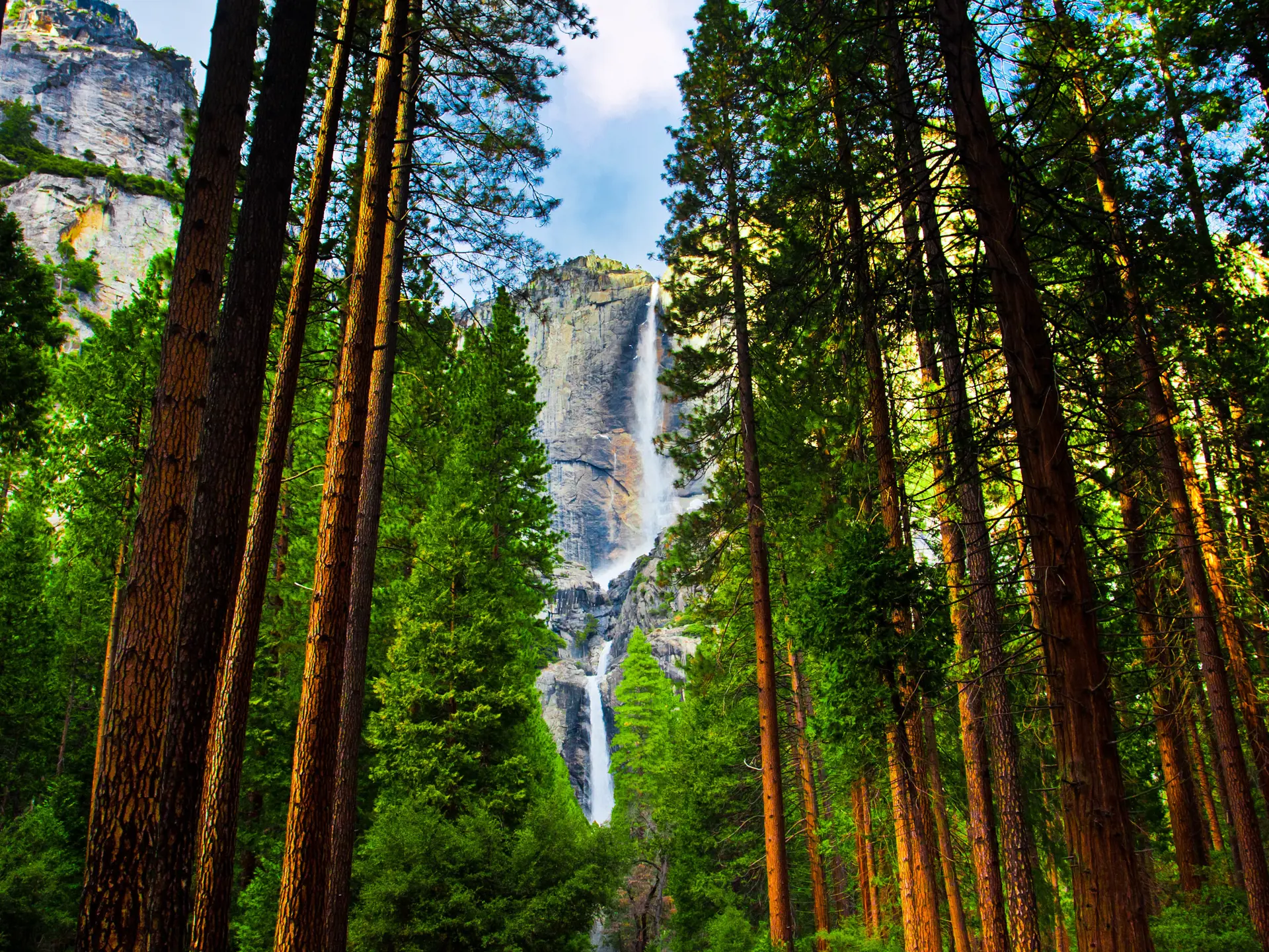 Yosemite Skov Og Vand