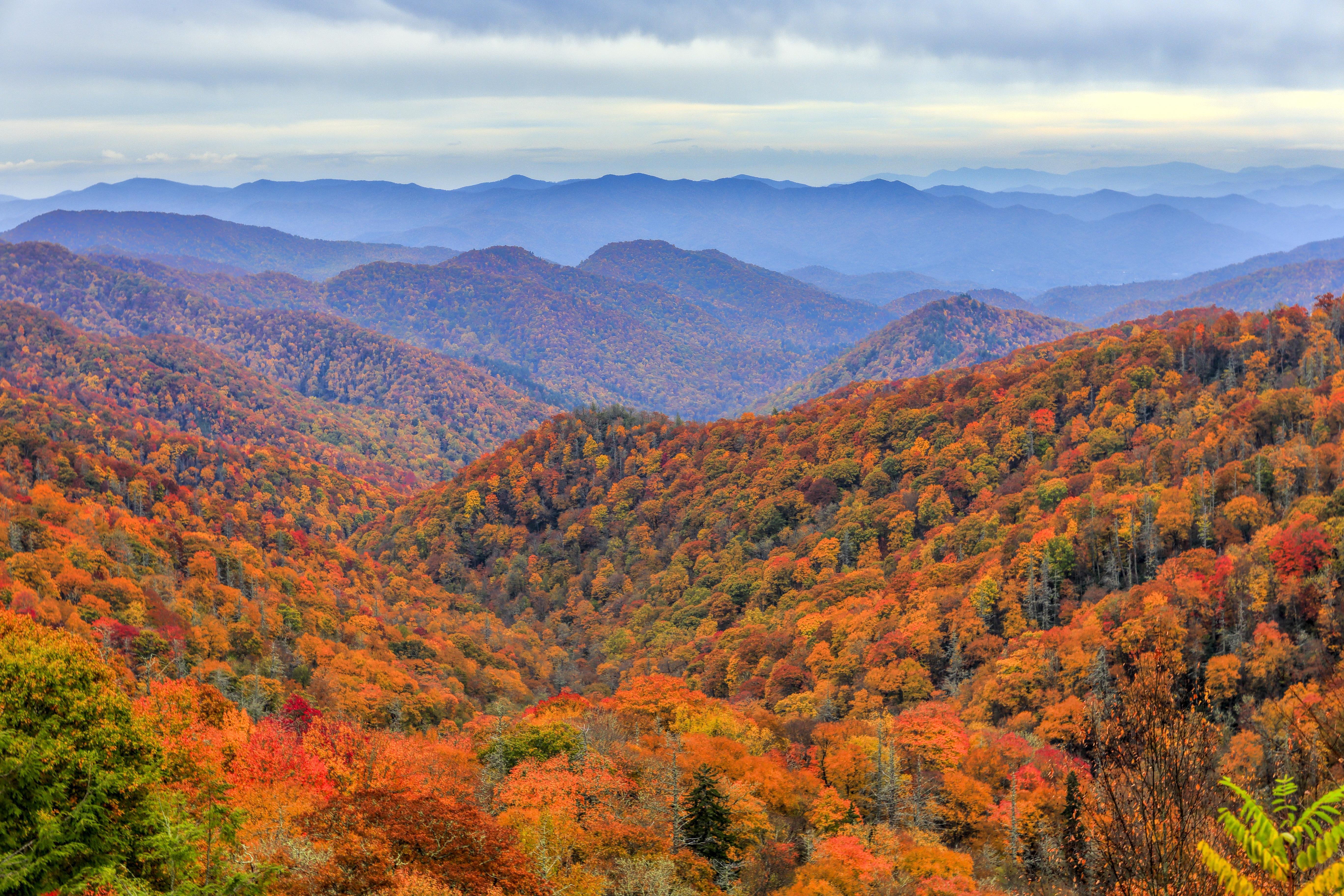 Great Smoky Mountains National Park (3) (1)
