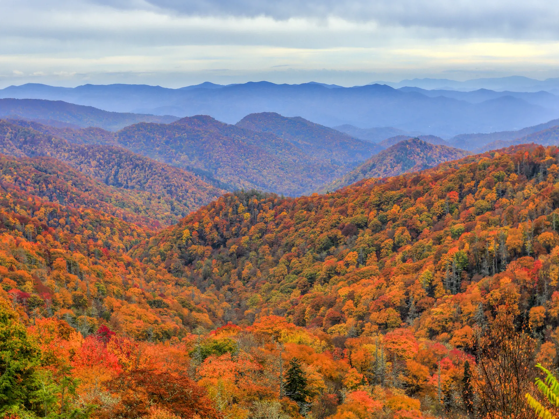 Great Smoky Mountains National Park (3) (1)