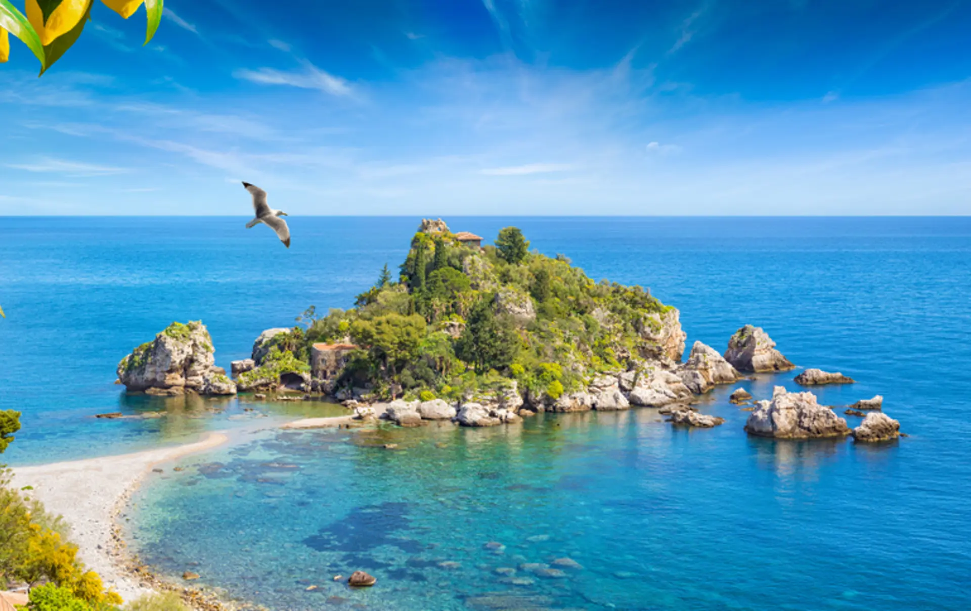 Shutterstock 1440813638