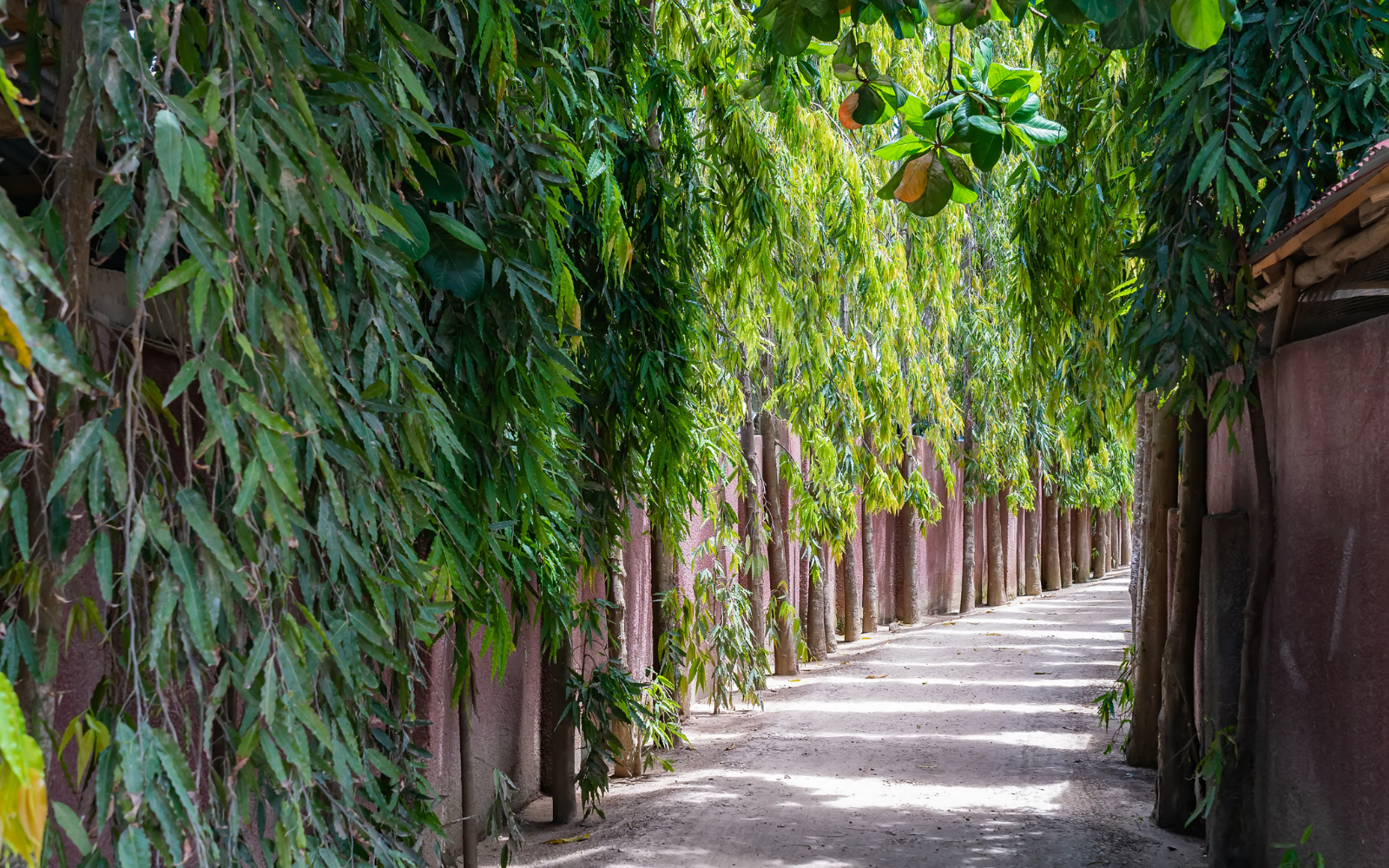 Small Green Street In Nungwi, Zanzibar, Tanzania