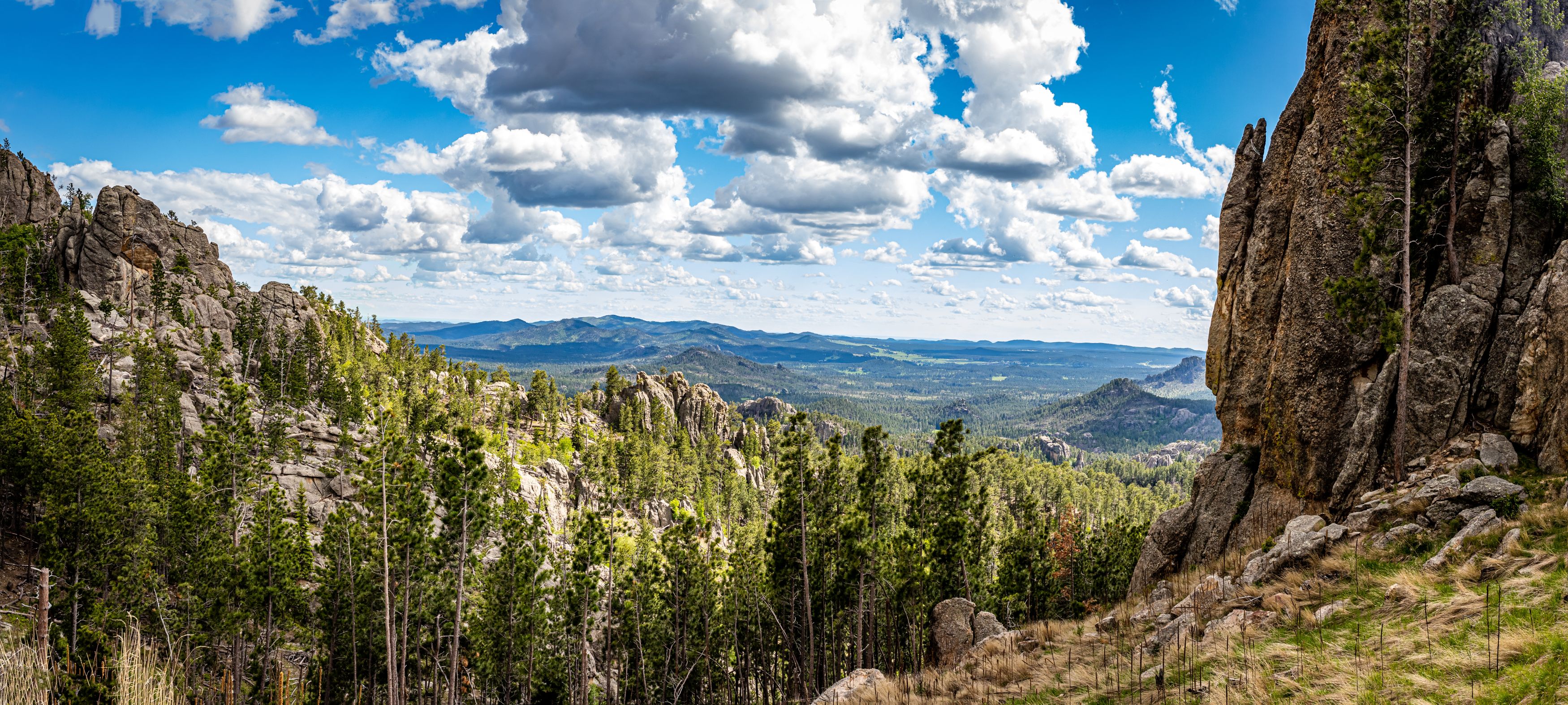 Needles Highway Black Hills Shutterstock 1555838021