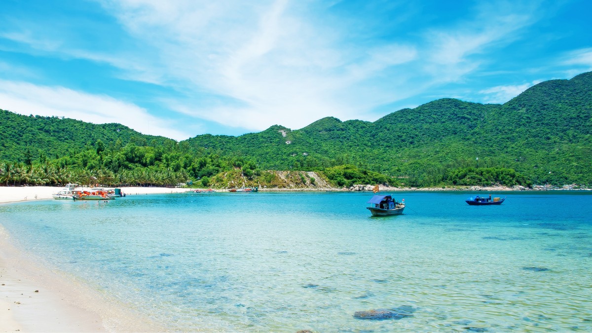 Cham Oerne Ved Hoi An I Vietnam