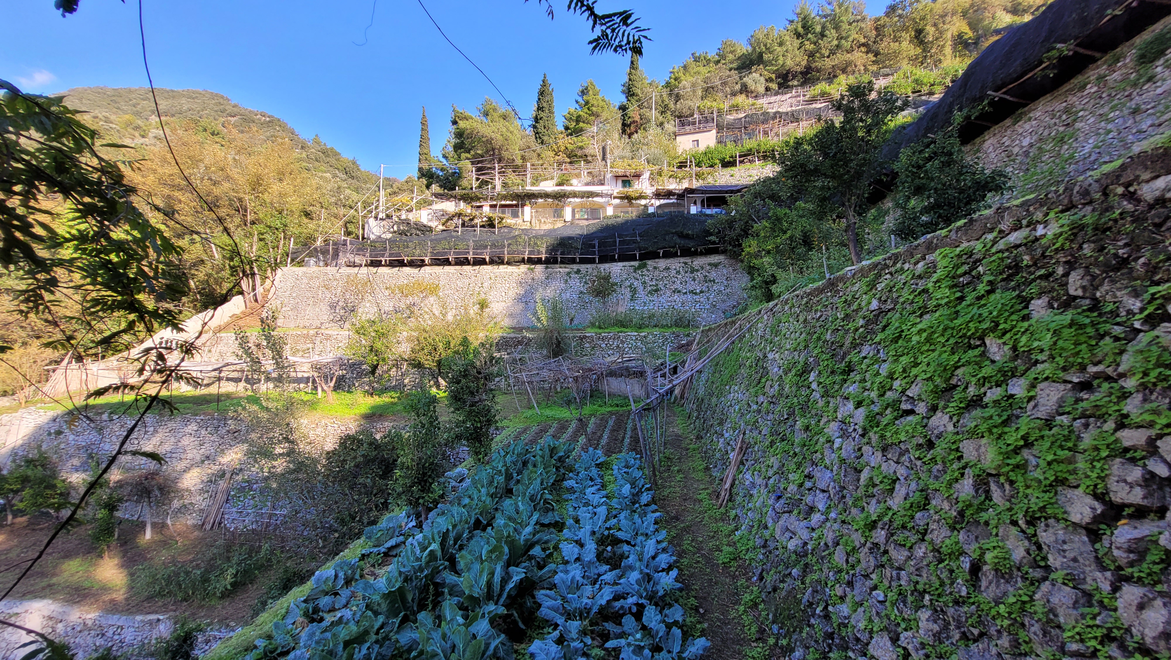 Italien Studietur OKT2020 HST (175)