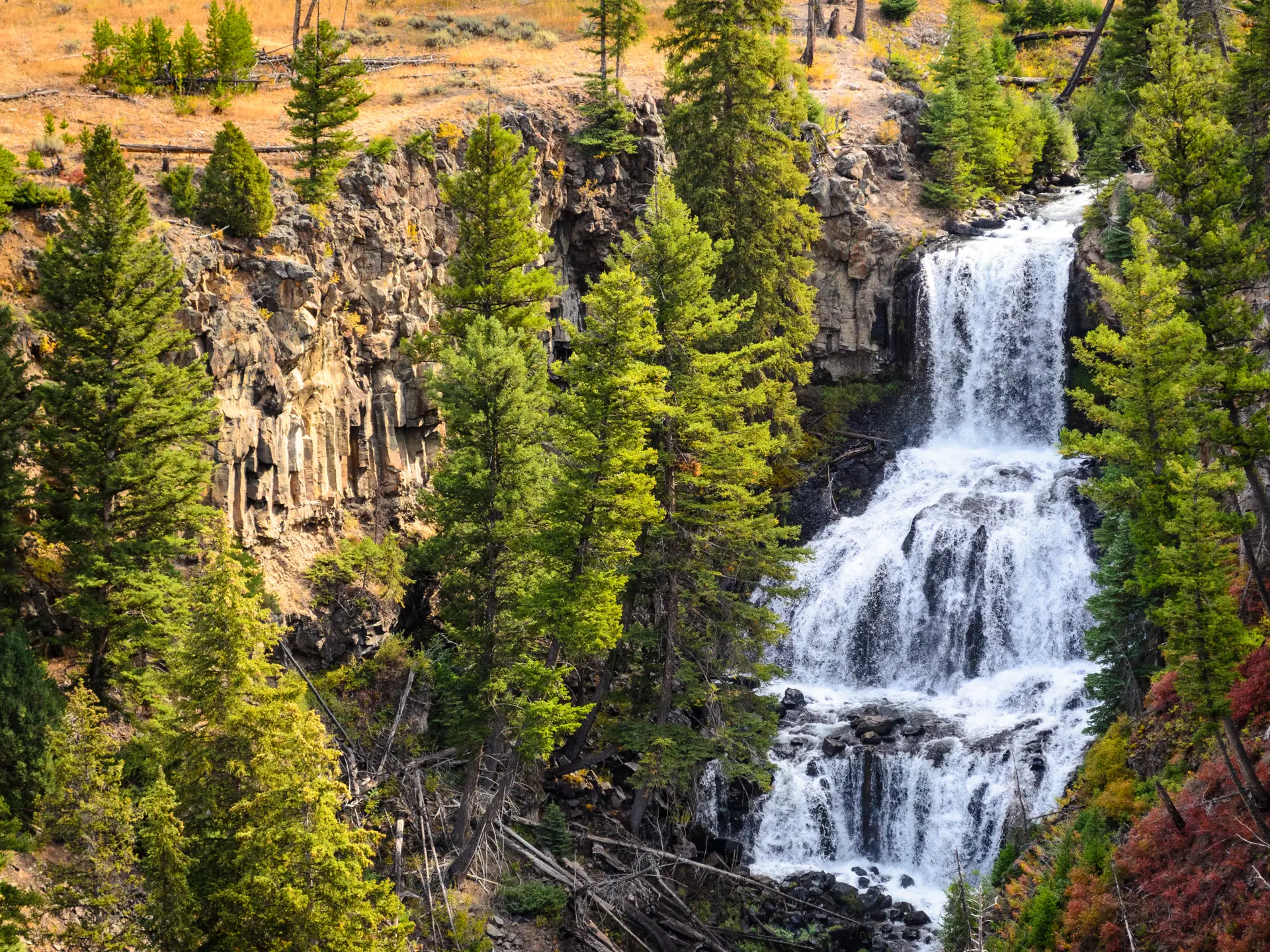 YELLOWSTONE - for de naturinteresserede bliver det ikke bedre, nationalparken rummer alt fra termiske kilder, gejsere, skove, bjerge og  spektakulære vandfald, Check Point Travel