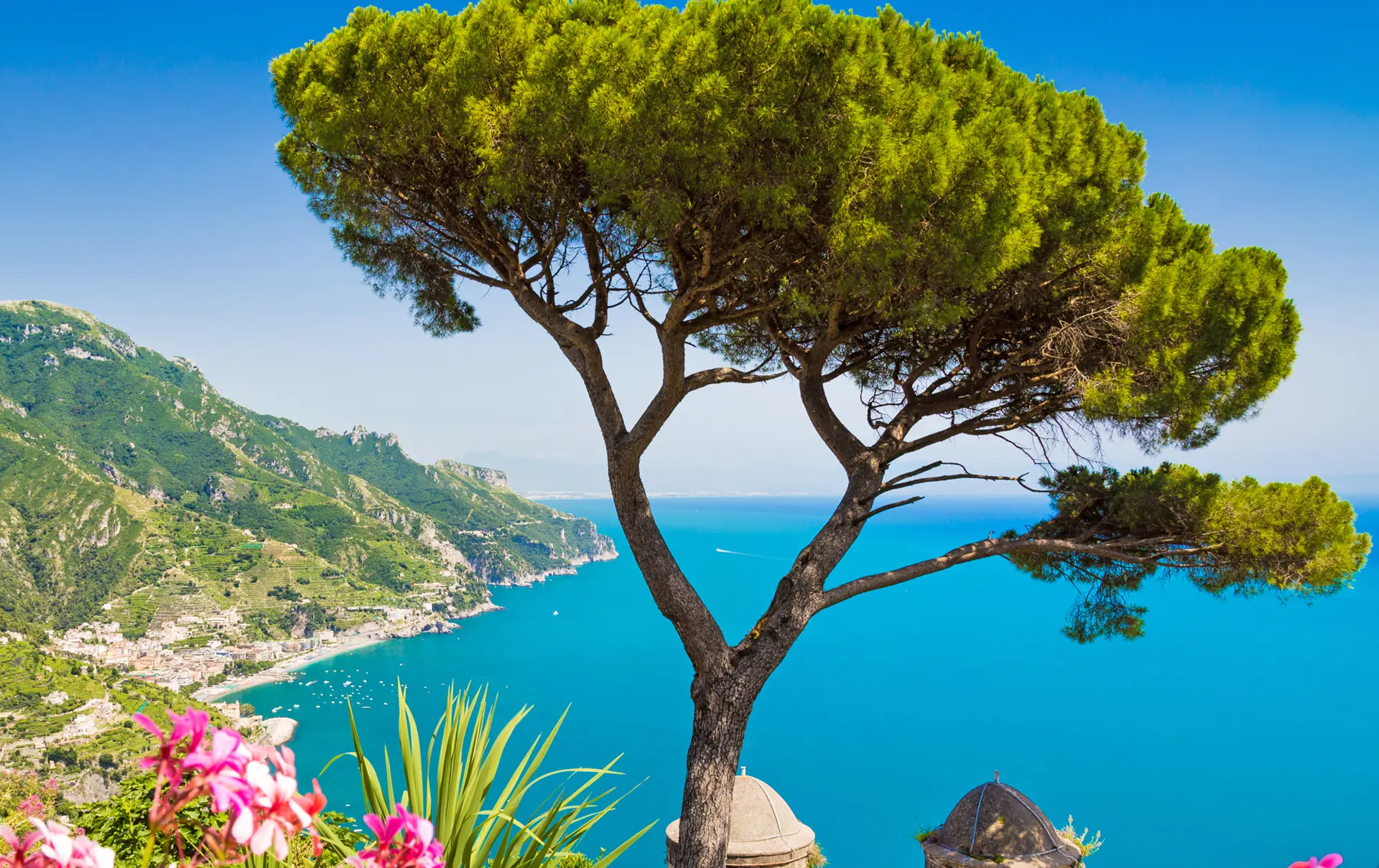 Ravello Tree