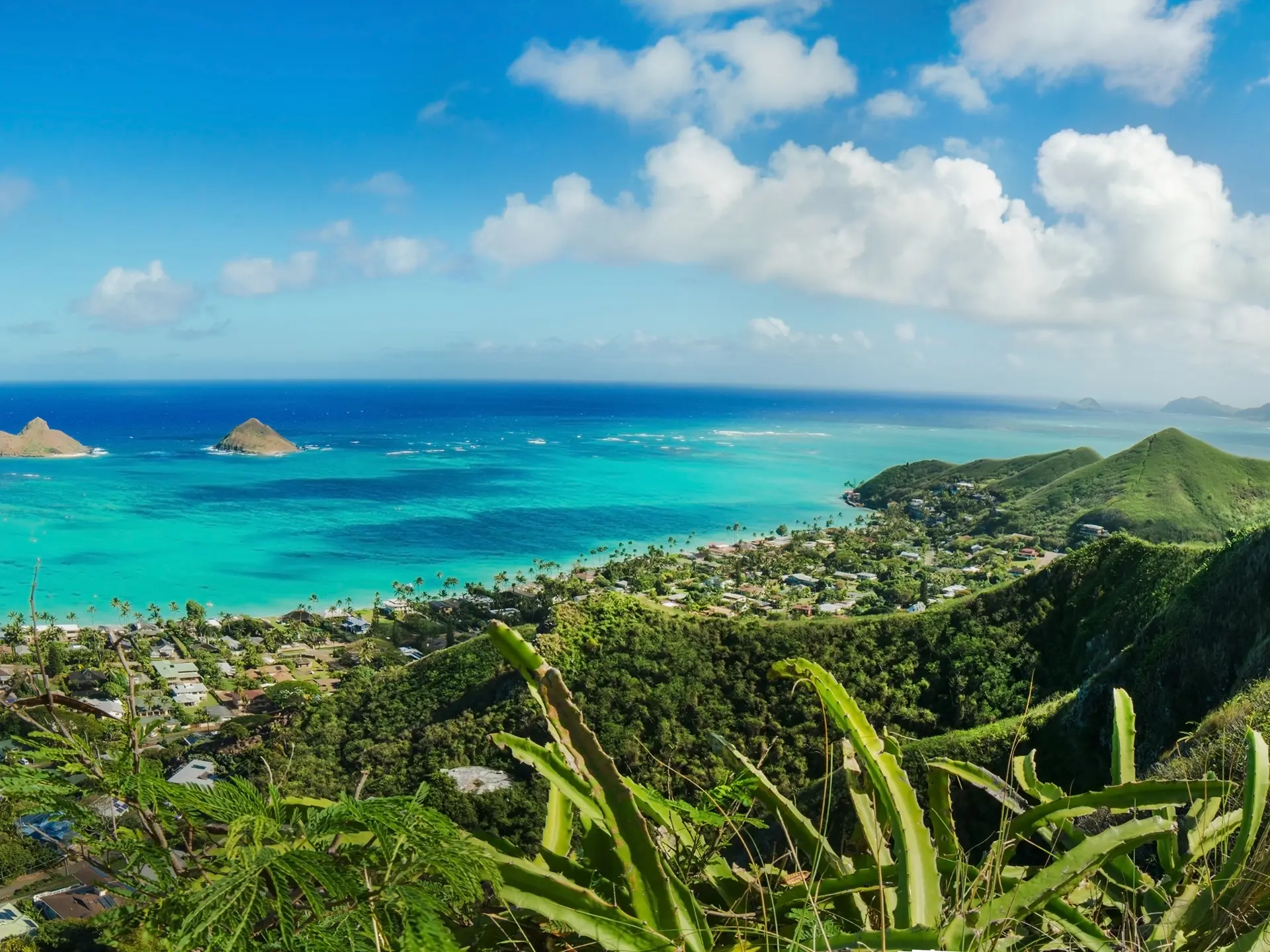 Udsigt Fra Vandreruten Pillbox Hike På Big Island Hawaii Shutterstock 555441652