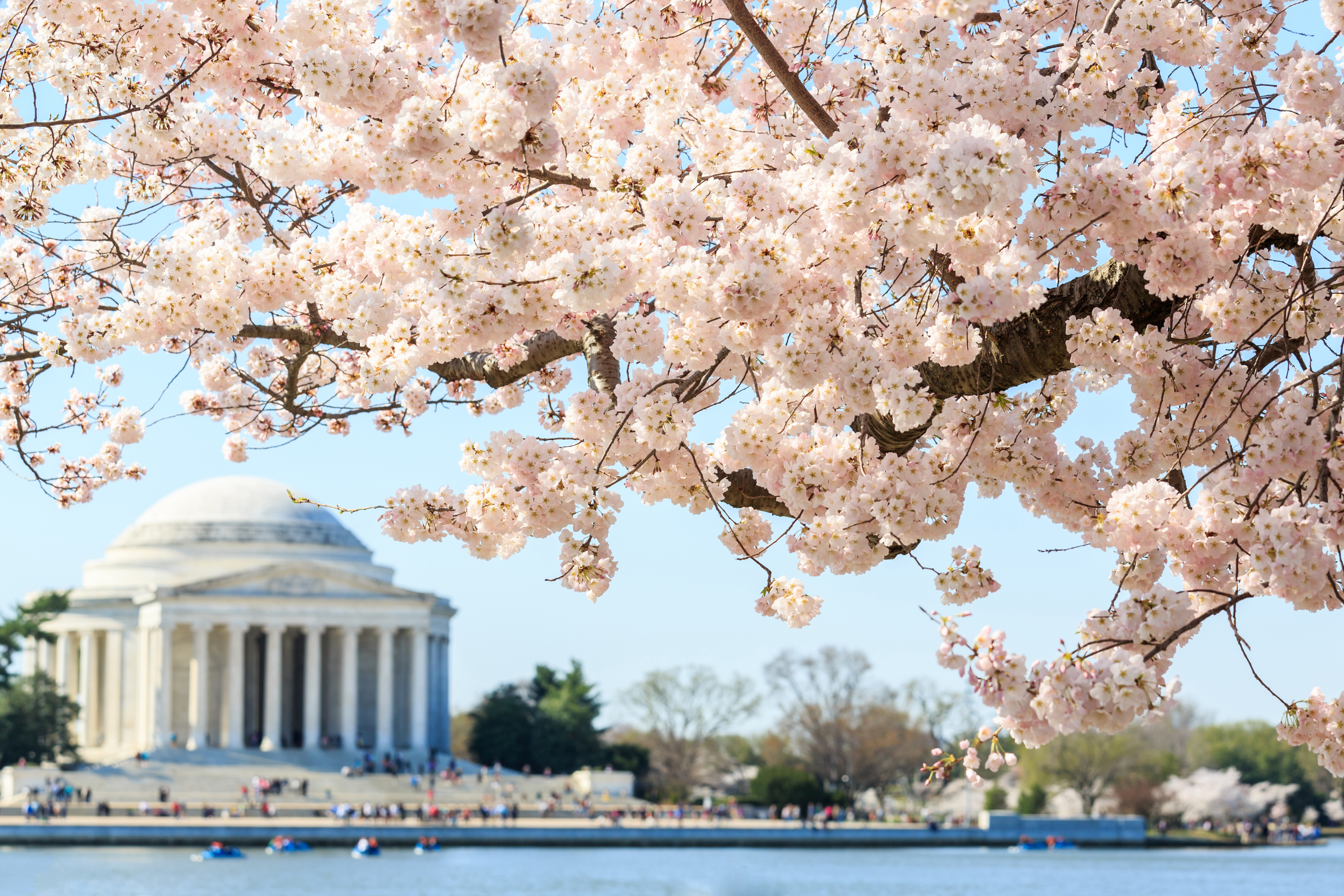 dag 1shutterstock_245218438 Thomas Jefferson Memorial in Washington DC, United States.jpg