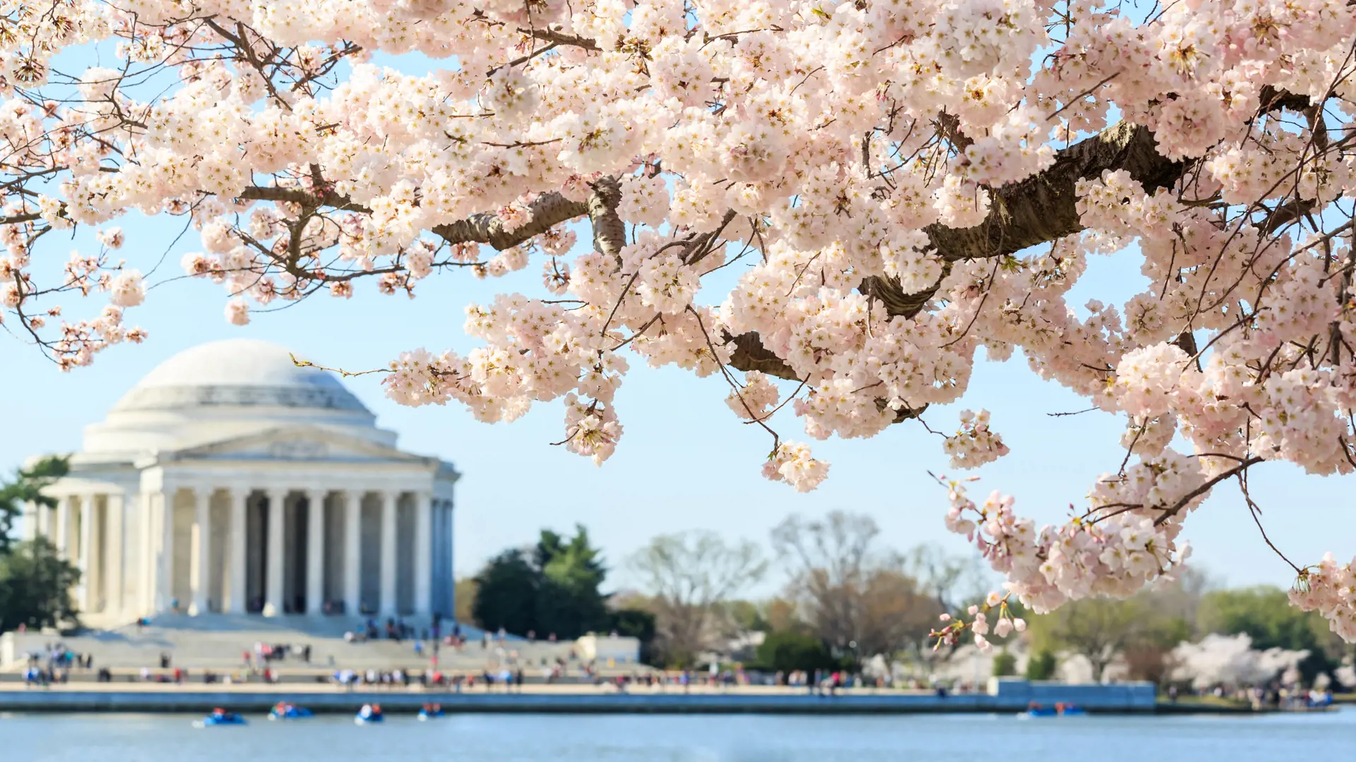 dag 1shutterstock_245218438 Thomas Jefferson Memorial in Washington DC, United States.jpg