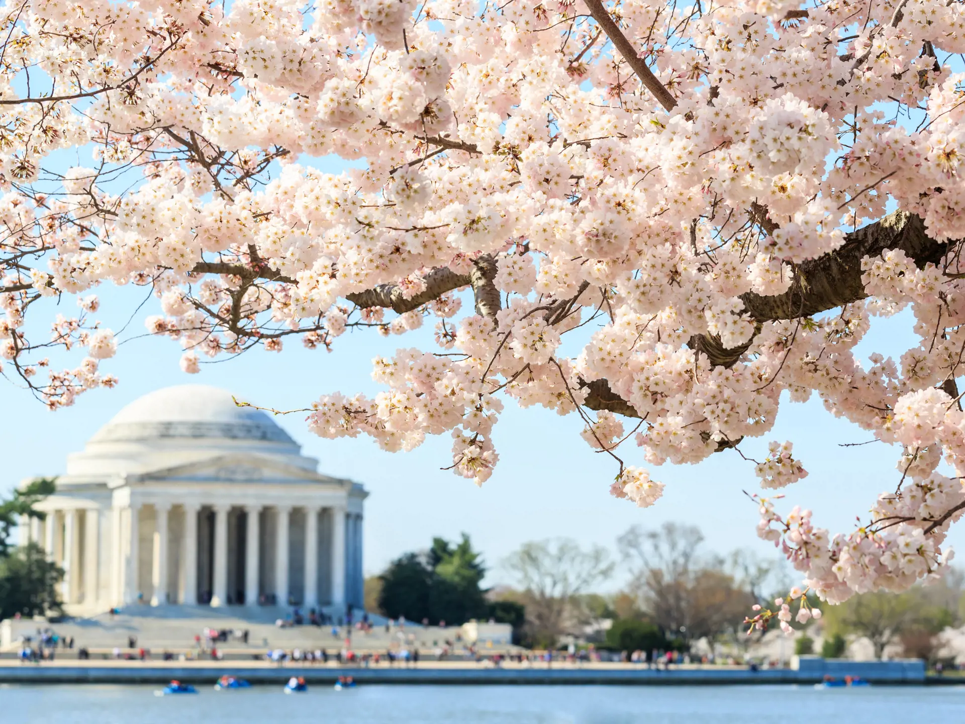 dag 1shutterstock_245218438 Thomas Jefferson Memorial in Washington DC, United States.jpg