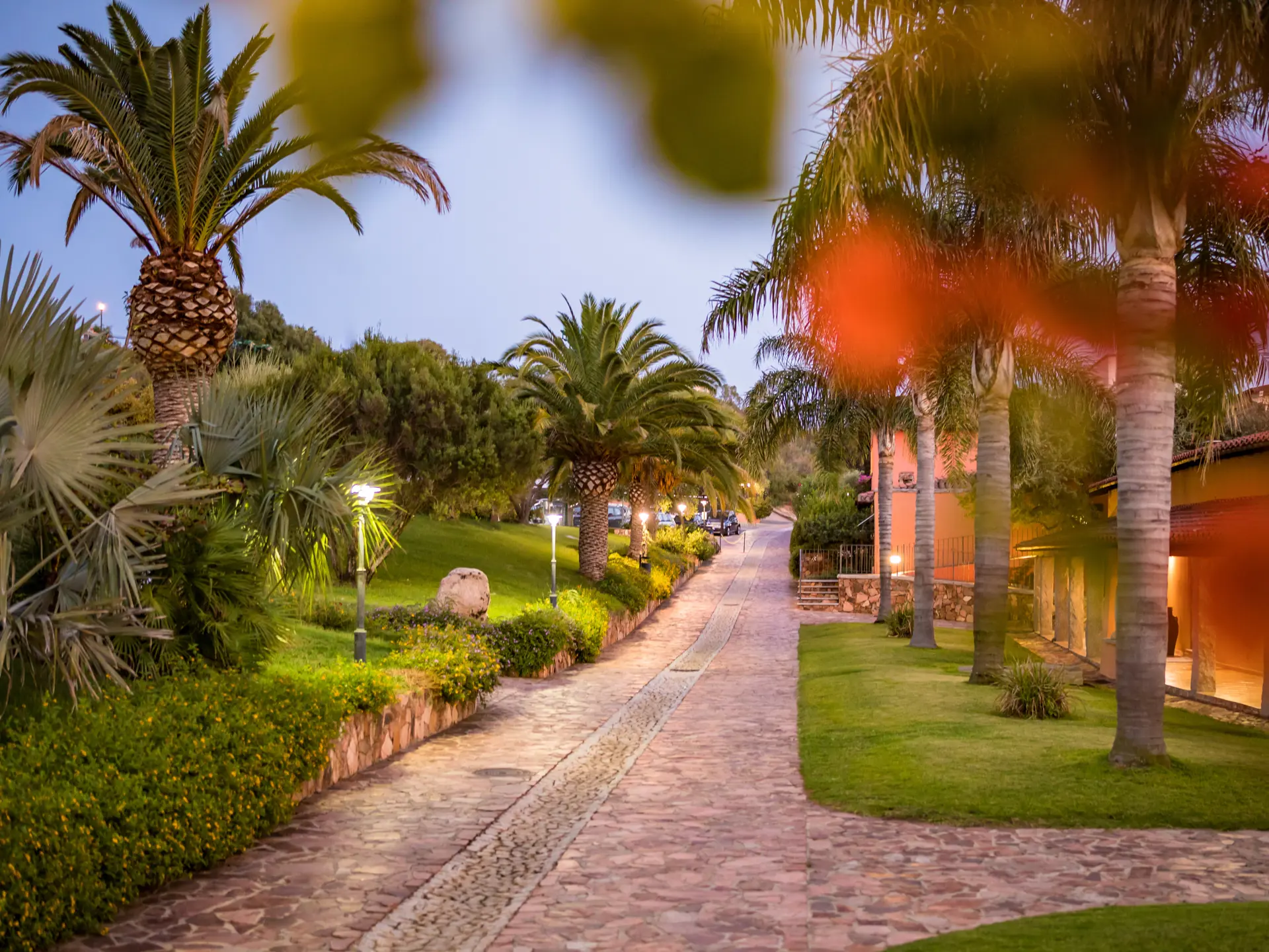 Club Saraceno Bovis (C)Helene Schleining 2020 (17 Von 24)