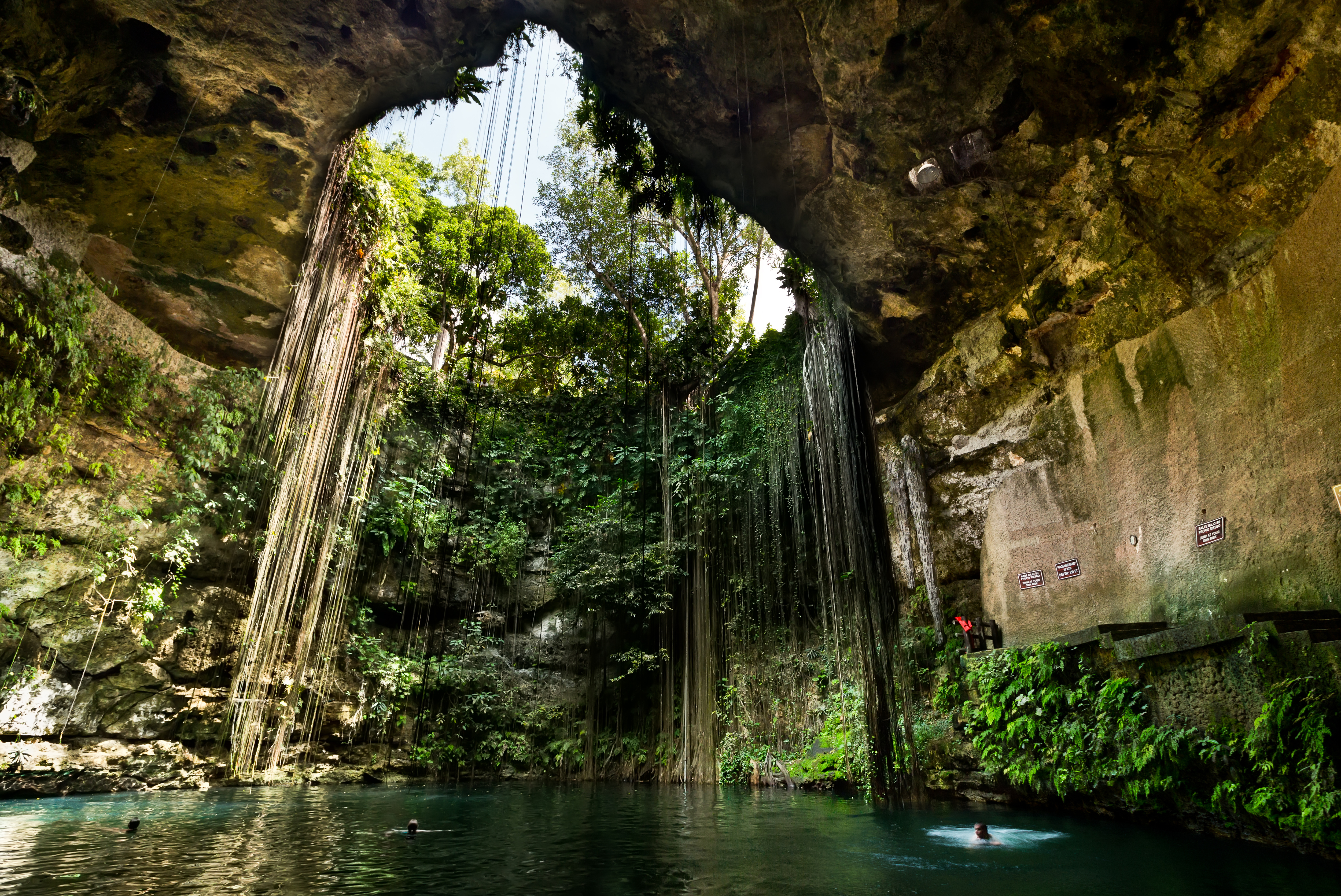 Cenote Ik Kil nær Chichén Itzá på Yucatán-halvøen i Mexico