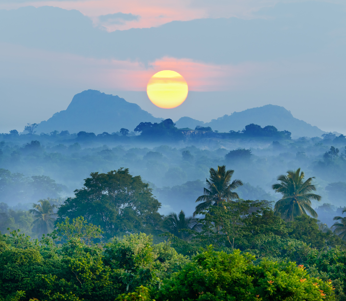 SYDKYSTEN - Solopgang over Sri Lankas jungle, der rummer et overflødighedshorn af naturoplevelser, Check Point Travel