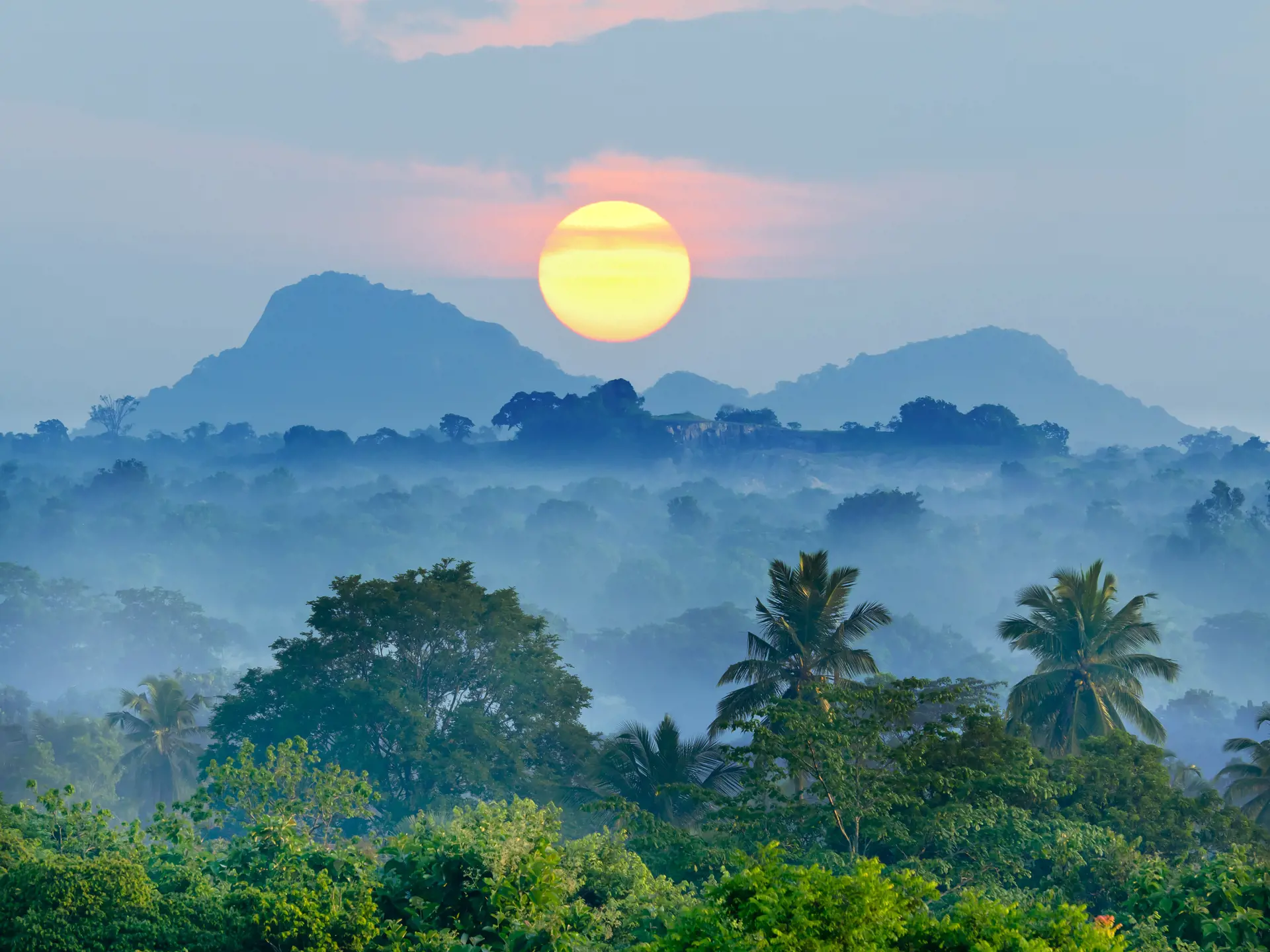 SYDKYSTEN - Solopgang over Sri Lankas jungle, der rummer et overflødighedshorn af naturoplevelser, Check Point Travel