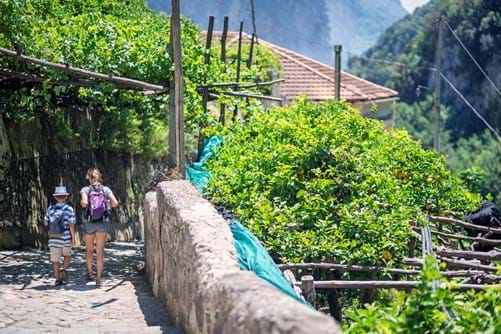 Vandretur I Valle Delle Ferriere Paa Amalfikysten Istock 1164354287