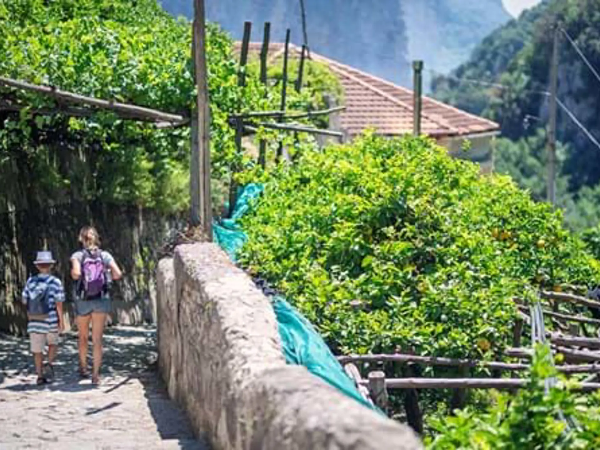 Vandretur I Valle Delle Ferriere Paa Amalfikysten Istock 1164354287