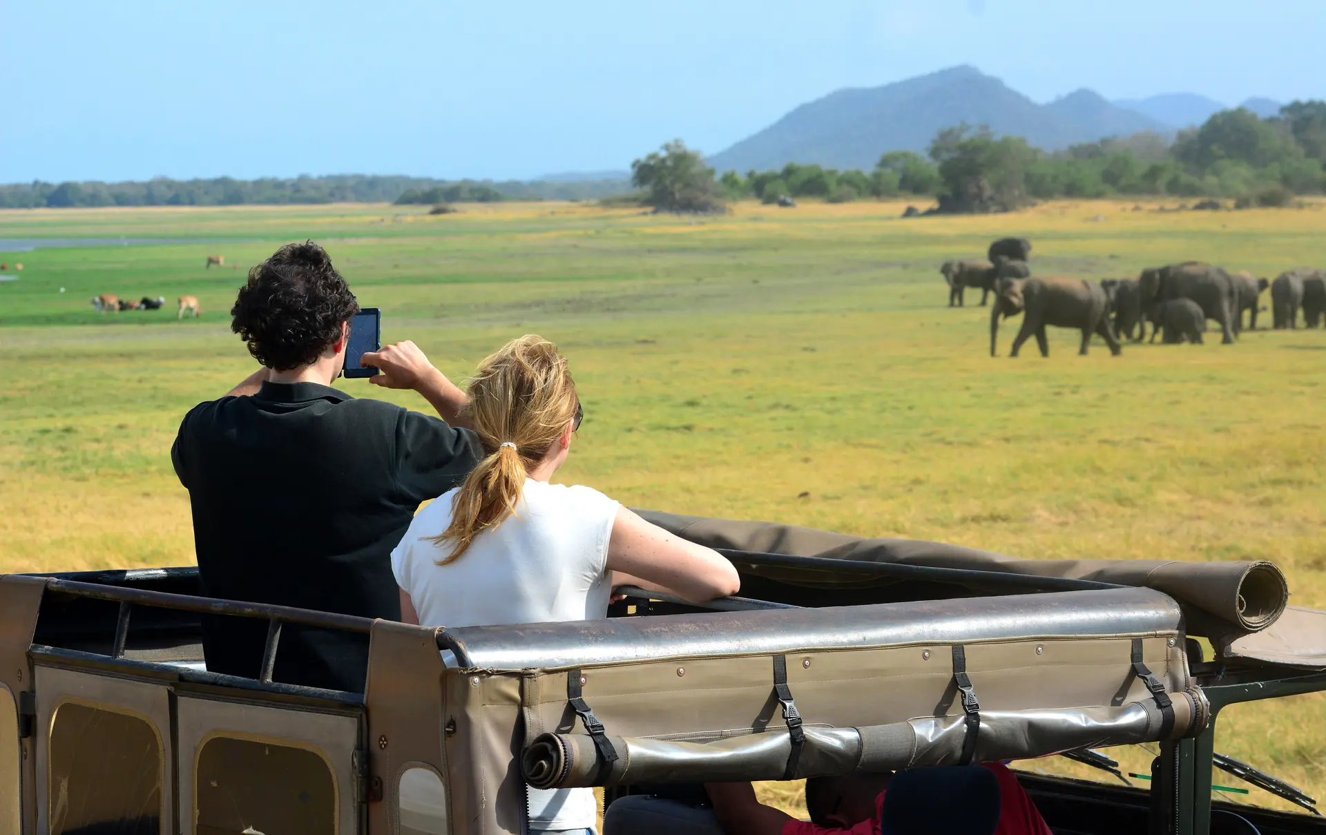dag 5shutterstock_249015388 Tourists in safari jeeps in Minneriya national park in Sri Lanka..jpg