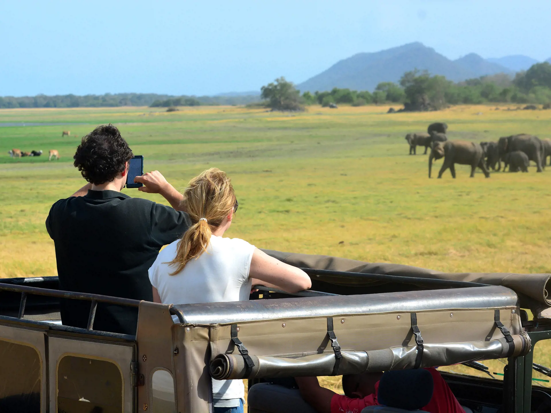 dag 5shutterstock_249015388 Tourists in safari jeeps in Minneriya national park in Sri Lanka..jpg