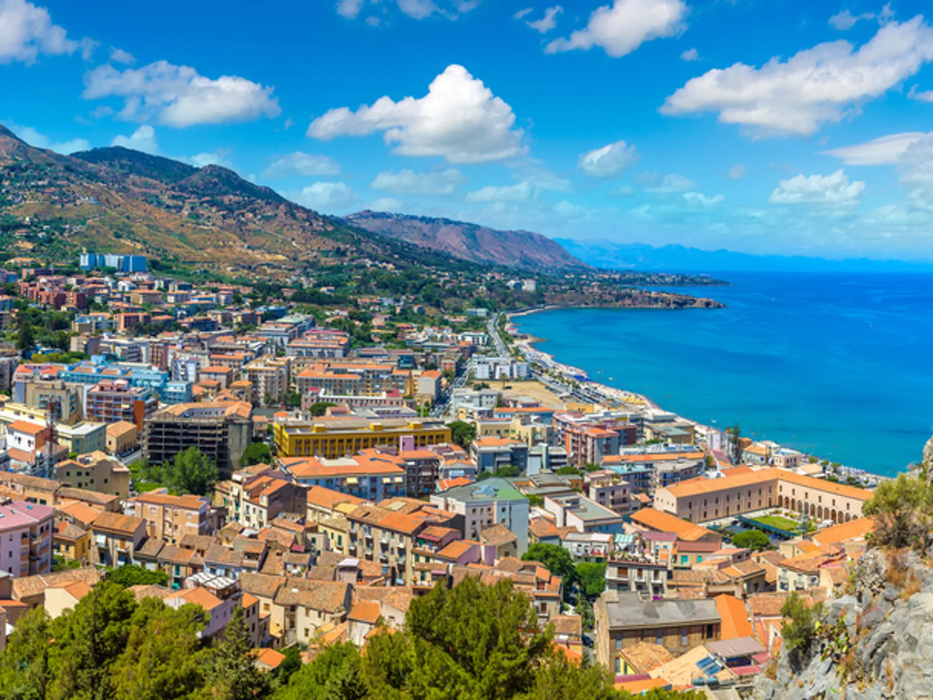 Shutterstock 728439250 (1)