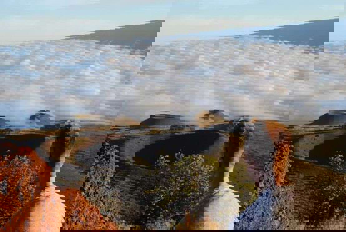 Dsc 0229