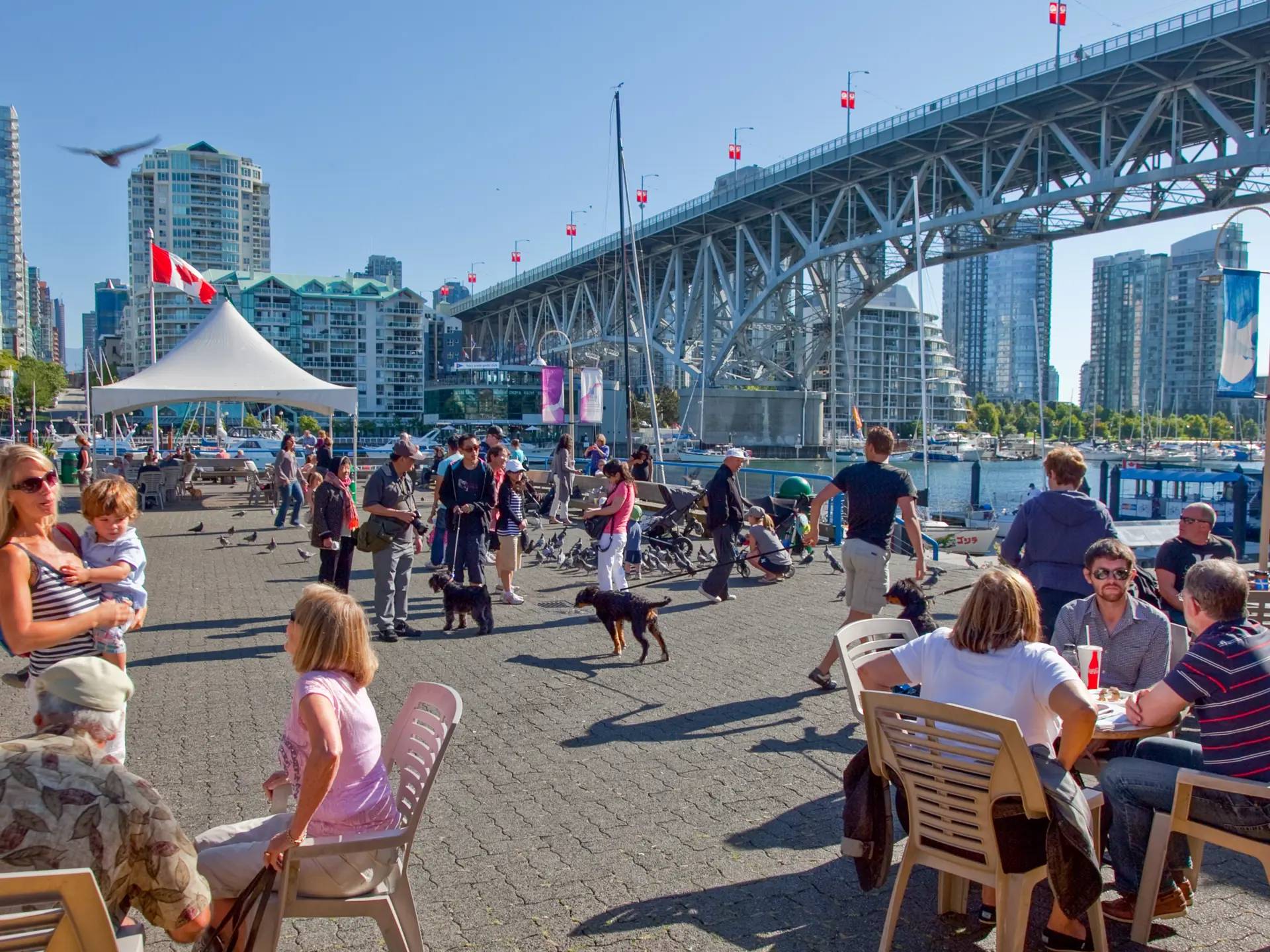 Nyd En Frokost I Solskinnet På Havnekanten Ved Granville Island Public Market Istock 506761663