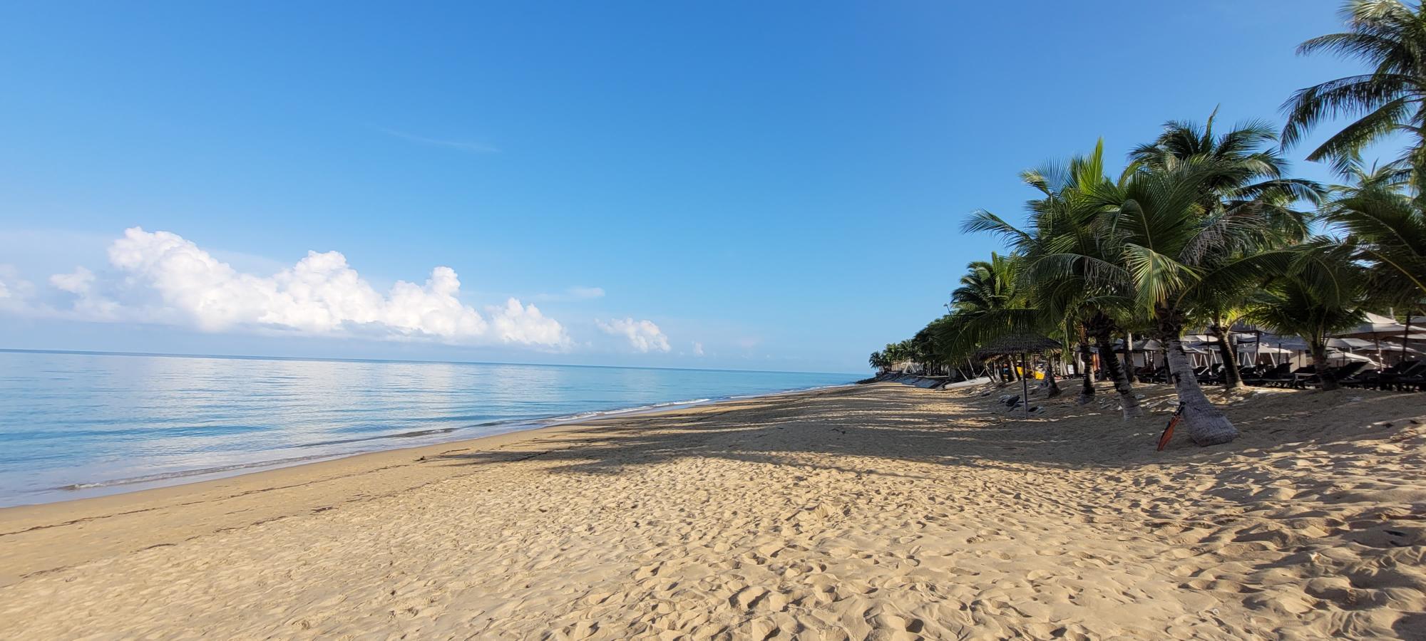 La Floras fine strand.