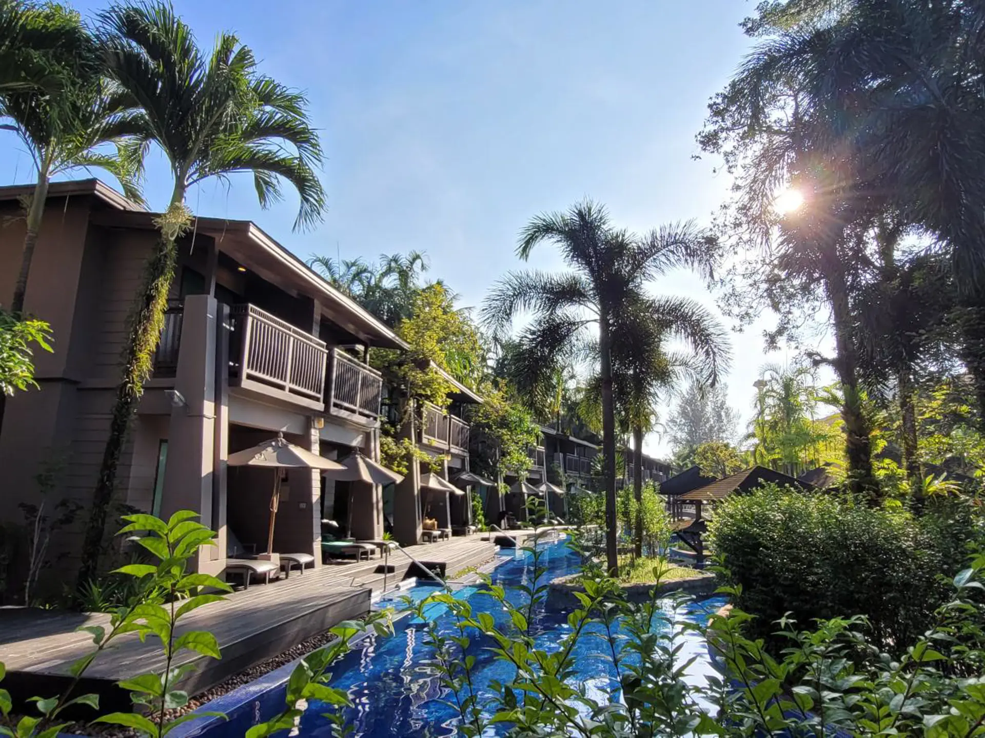 La Flora er grønt er dejligt.