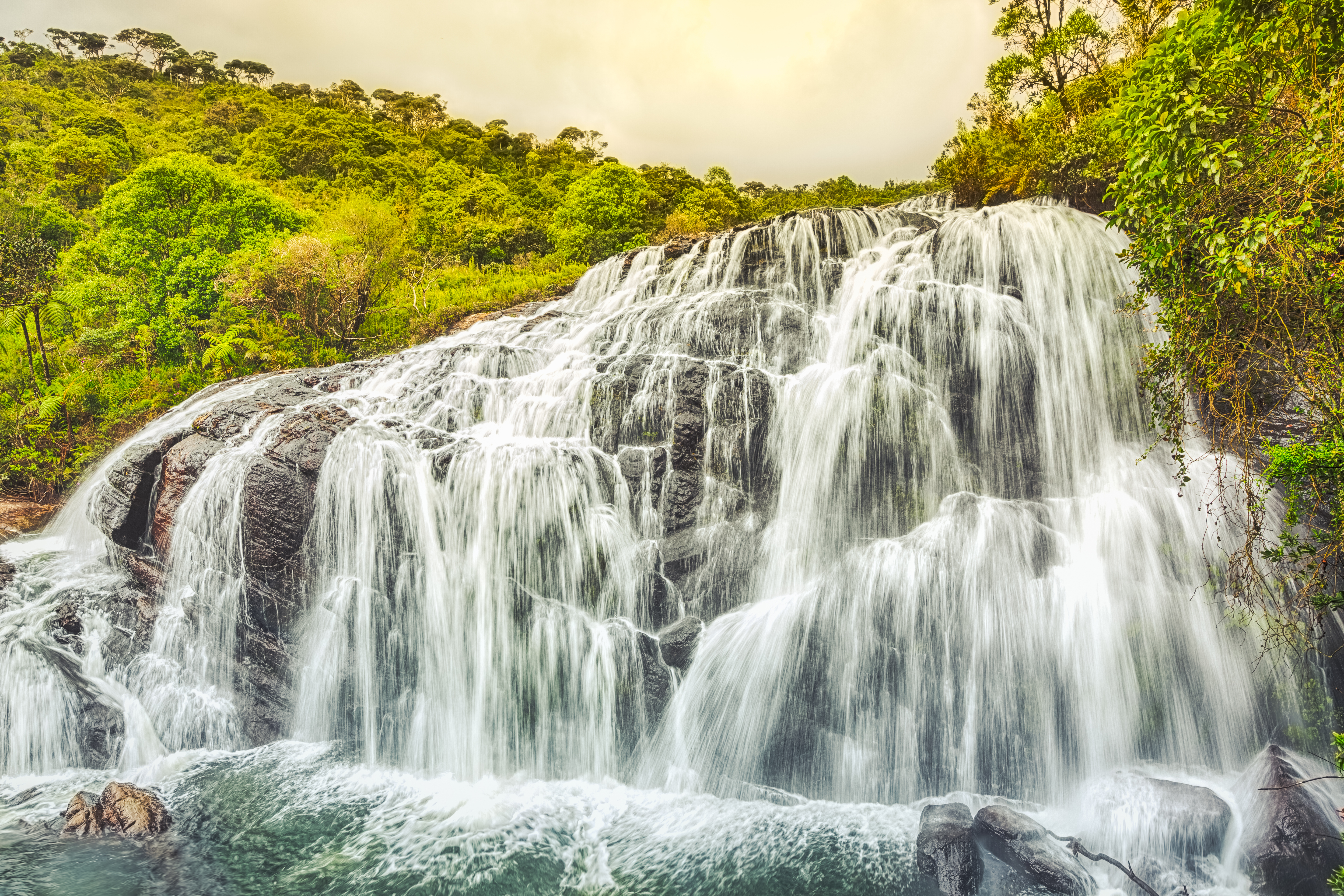 HORTON PLAINS - store naturoplevelser omkring Bakers vandfaldet, Check Point Travel