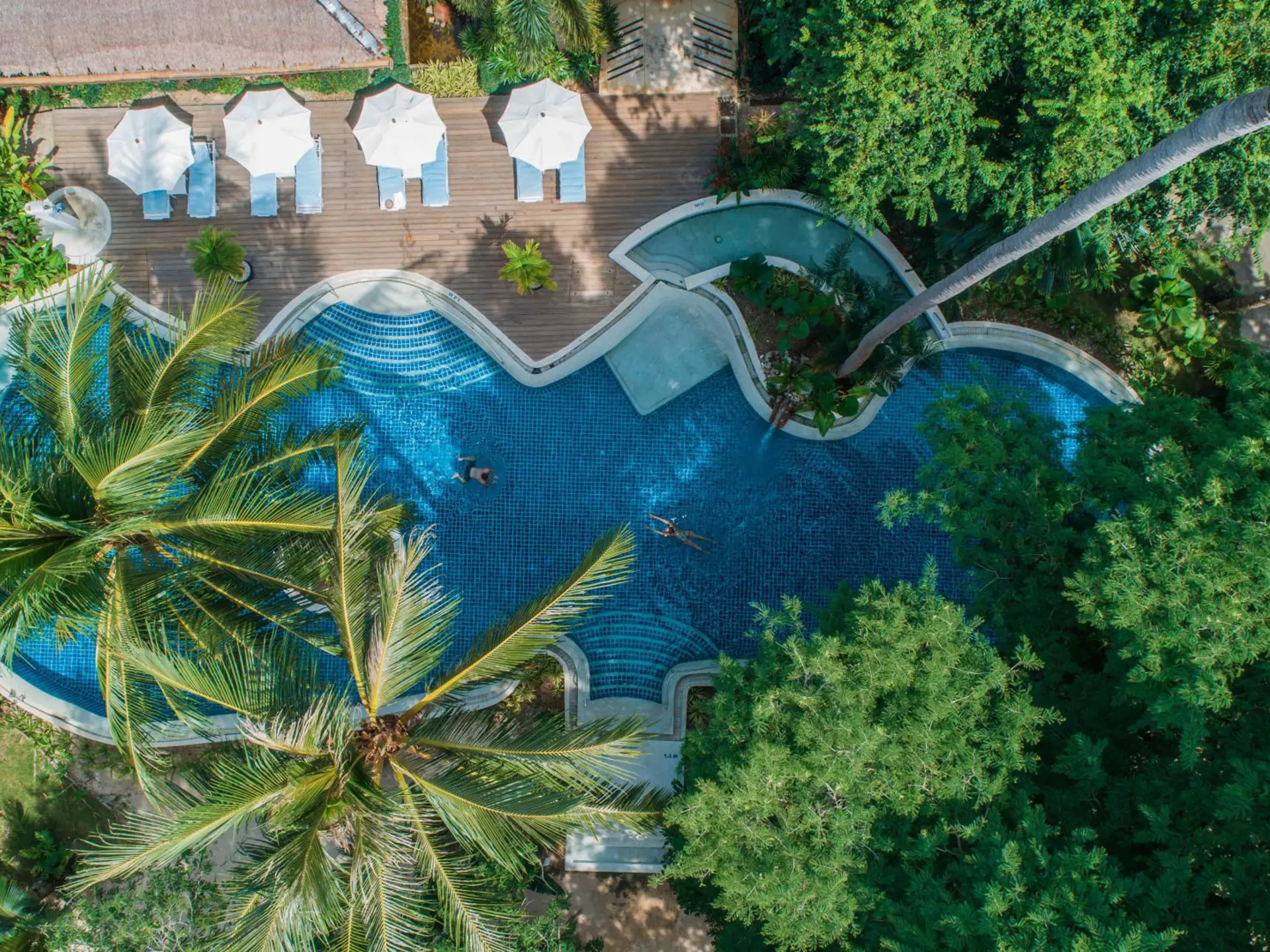 Paradise Resort Resort Pool