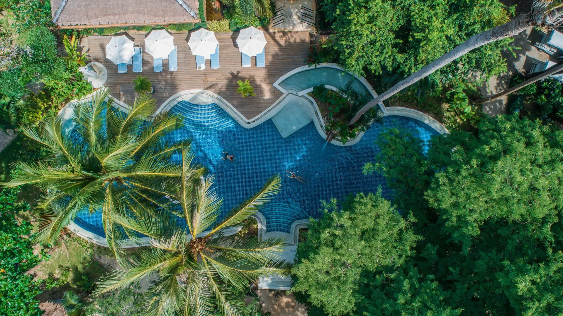 Paradise Resort Resort Pool