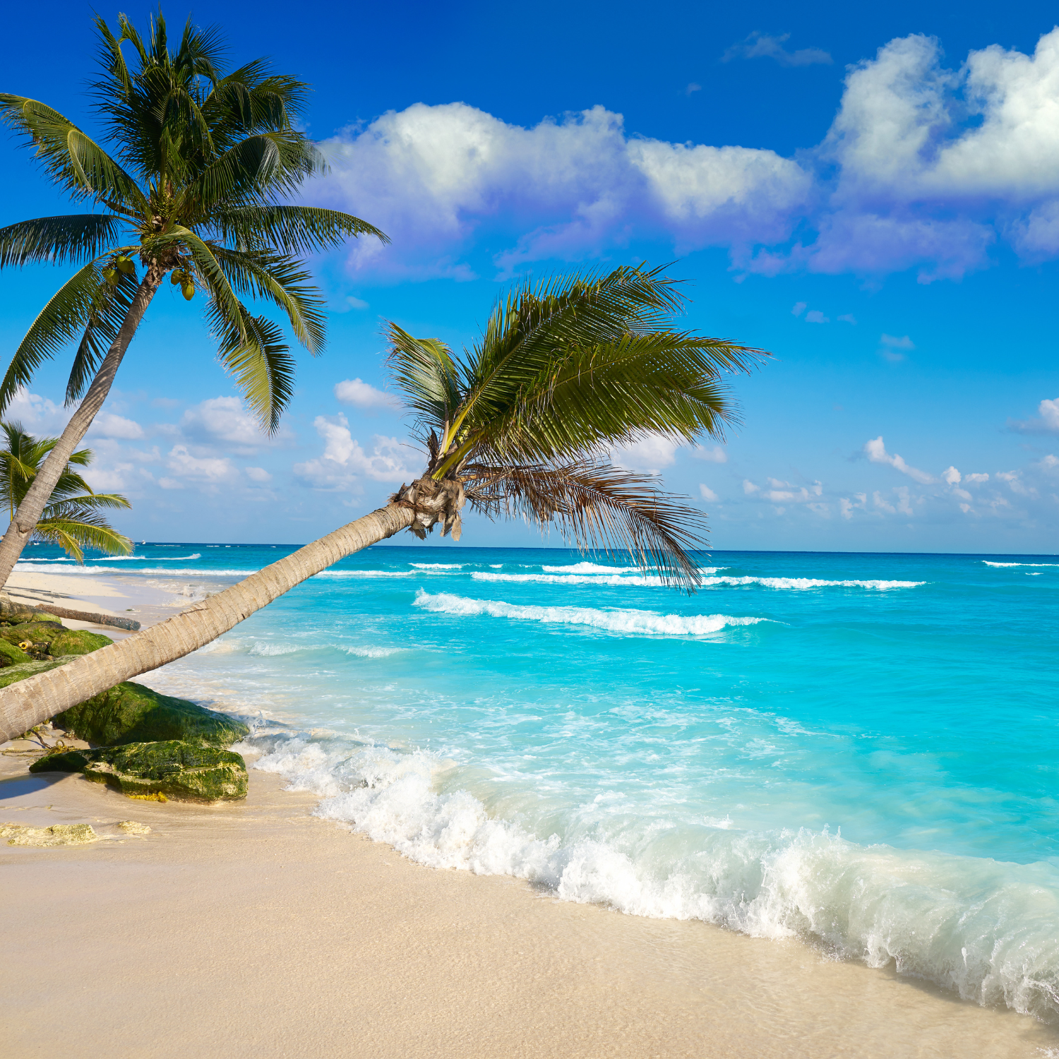 Badeferie Playa Del Carmen Teaser