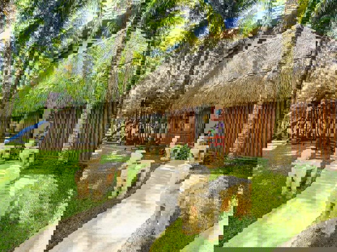 1547223109 5C38c045d6124 Thumb Standard