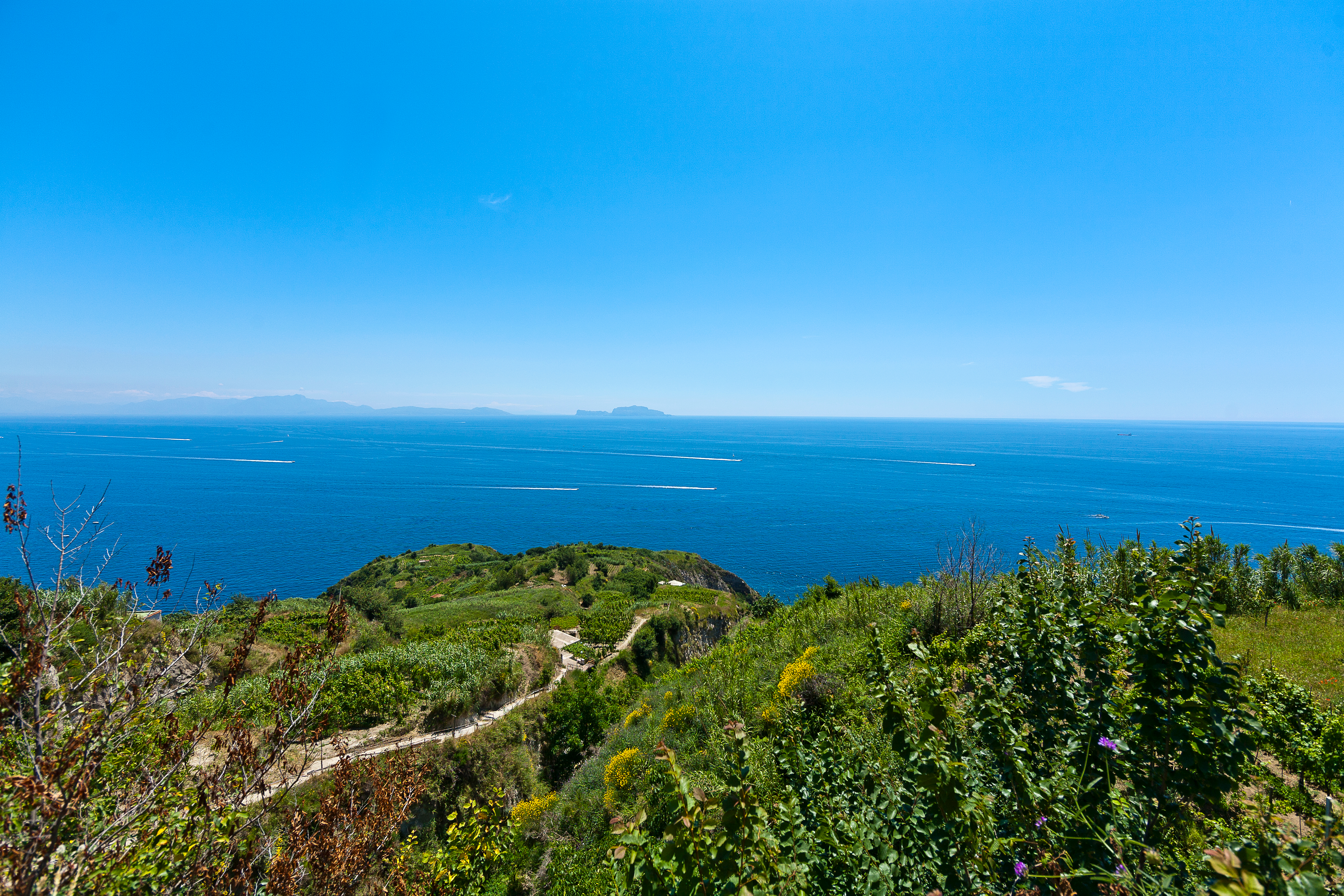 Smuk udsigt til marker og hav på trekkingstierne ved Piano Liguori på Ischia - I baggrunden kan man se Capri