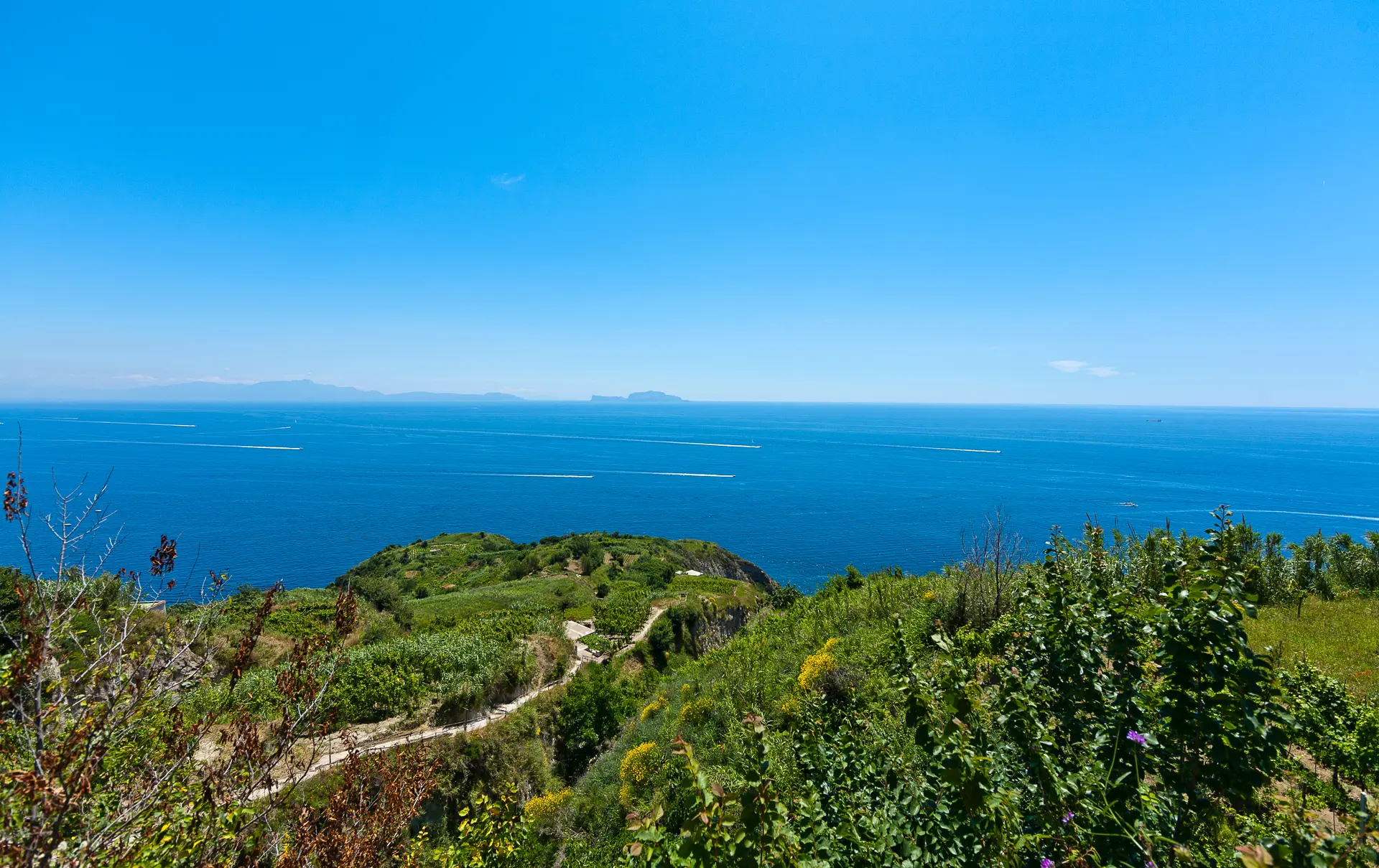Smuk udsigt til marker og hav på trekkingstierne ved Piano Liguori på Ischia - I baggrunden kan man se Capri