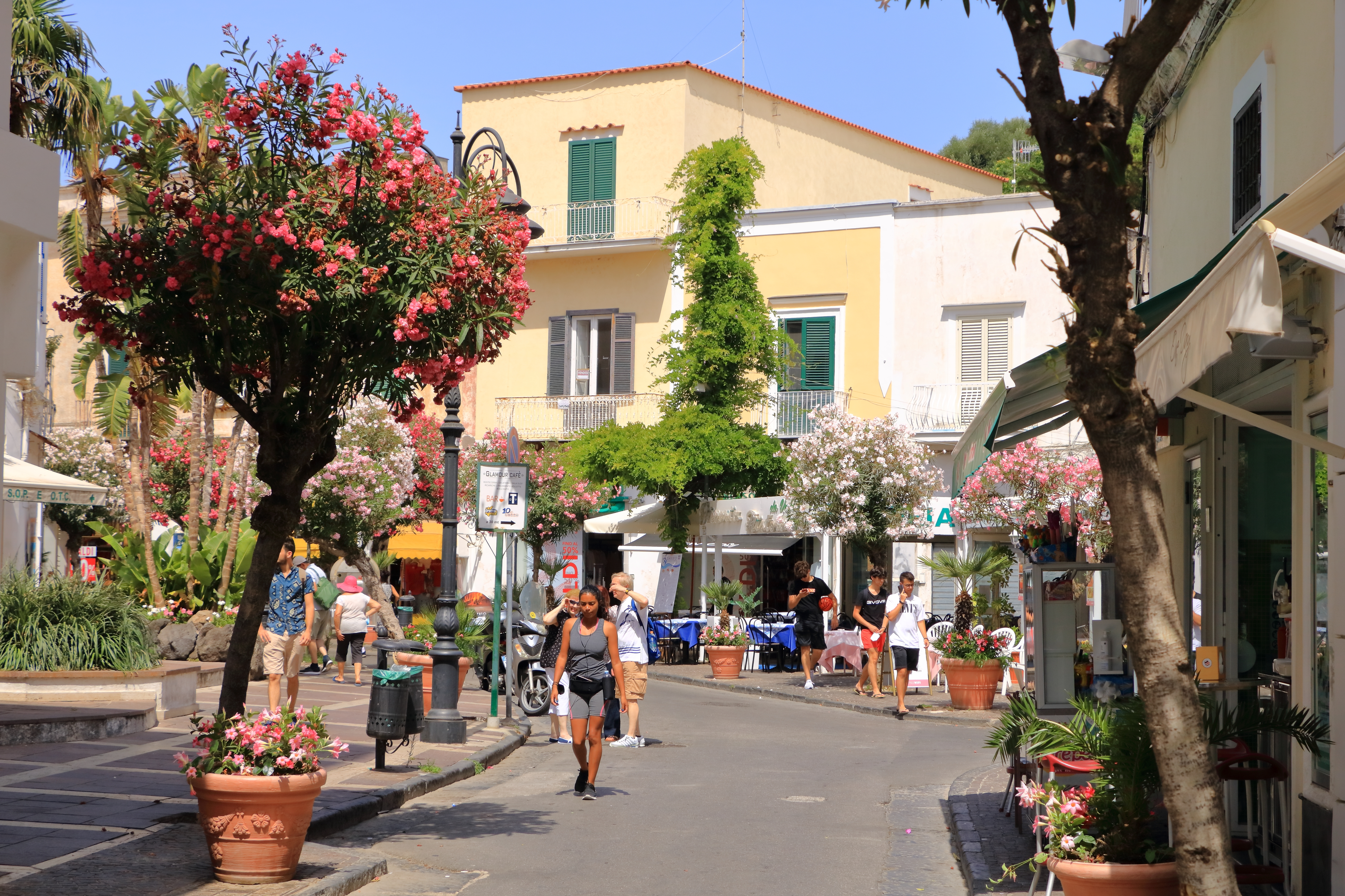 Shutterstock 2084978470