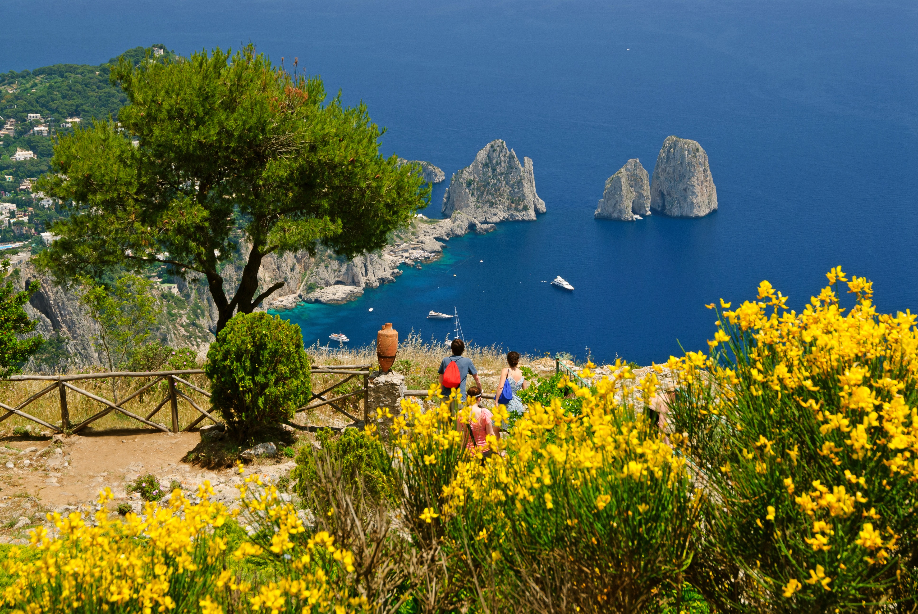 Shutterstock 677583670