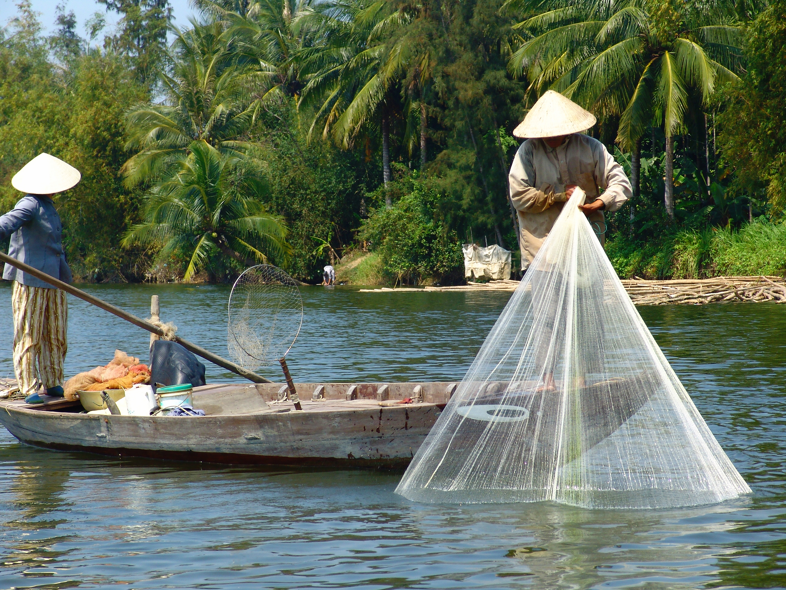 FRISK FISK - Fiskere på floden i Hoi An i gang med dagens arbejde. Fiskene sælges på det lokale marked, Check Point Travel