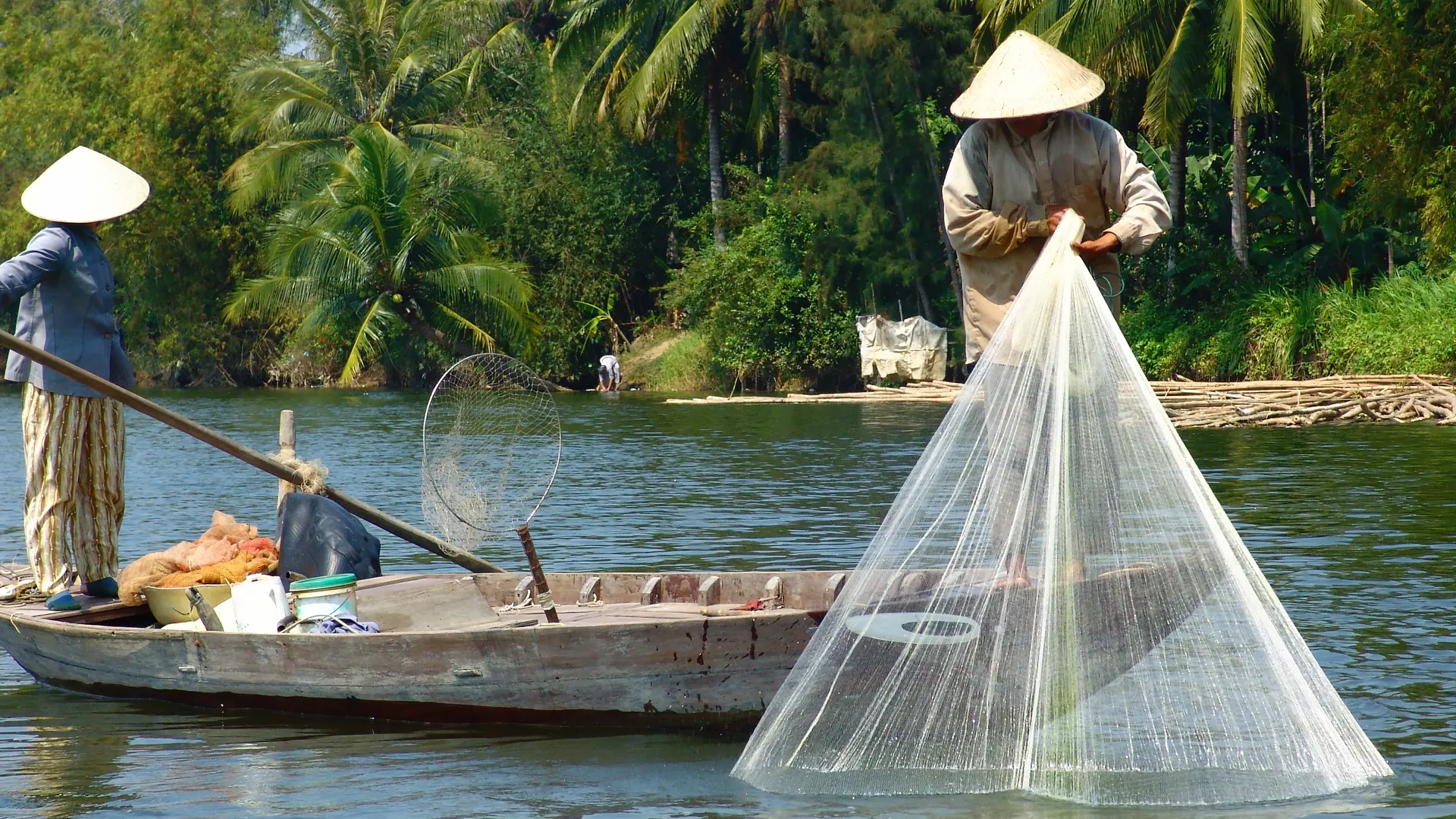 FRISK FISK - Fiskere på floden i Hoi An i gang med dagens arbejde. Fiskene sælges på det lokale marked, Check Point Travel