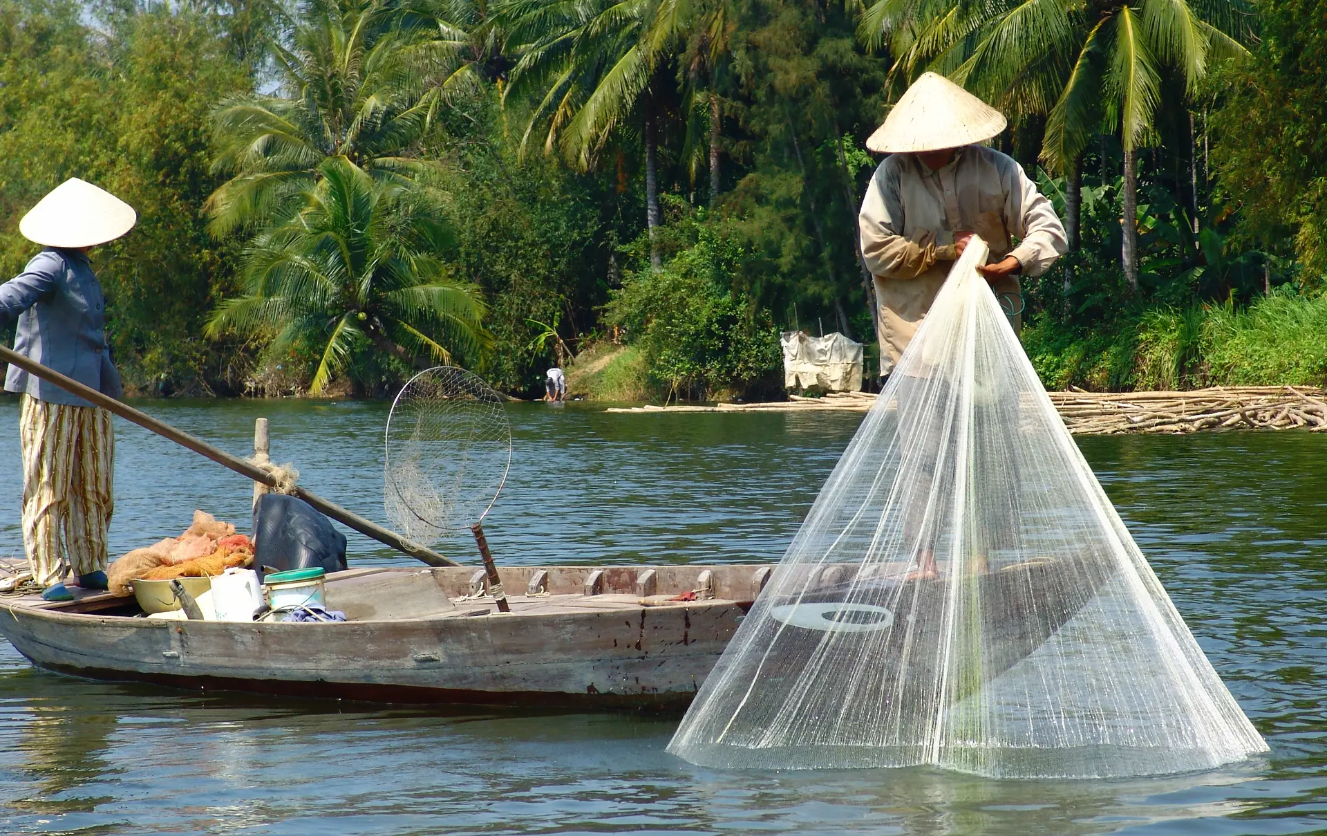 FRISK FISK - Fiskere på floden i Hoi An i gang med dagens arbejde. Fiskene sælges på det lokale marked, Check Point Travel