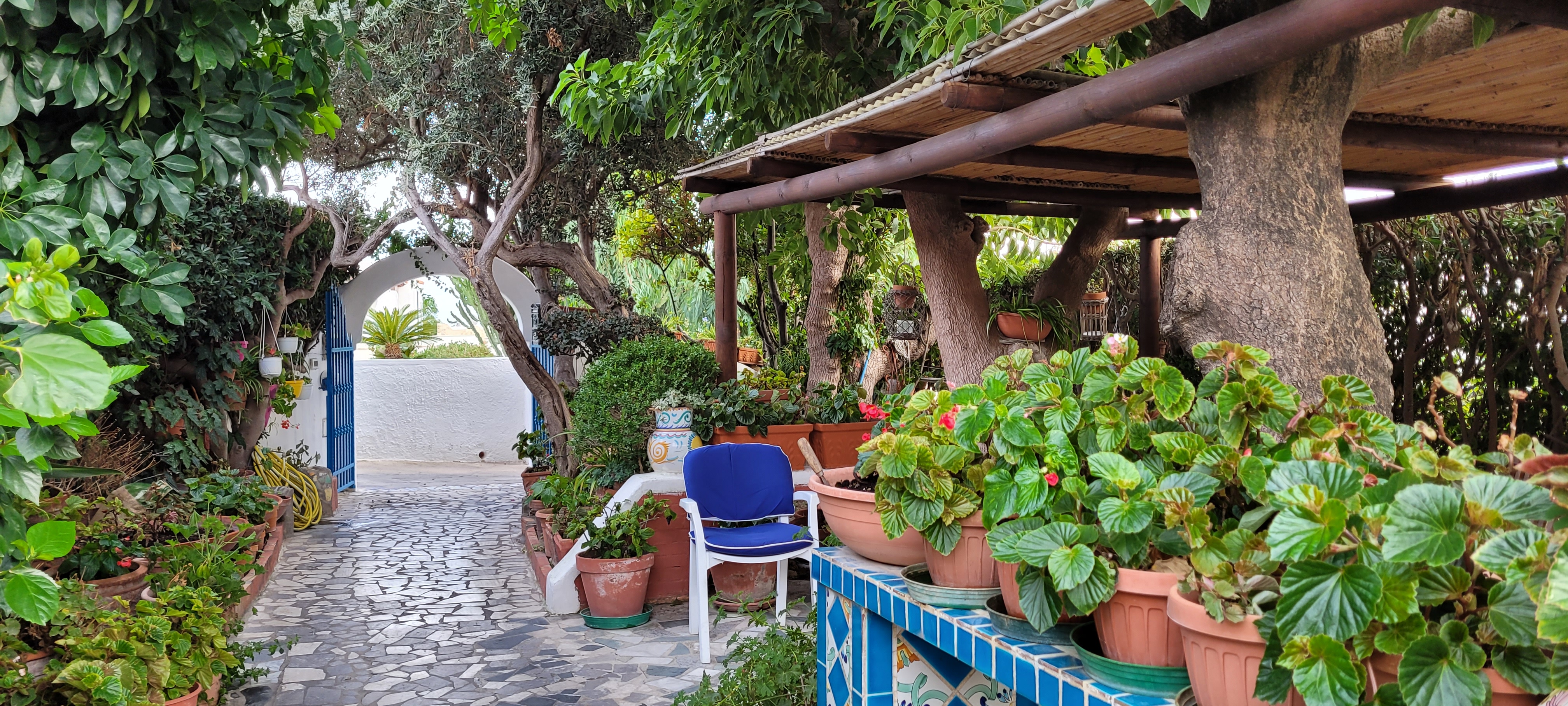Et lille udsnit af den hyggelige have på Hotel Villa Maria på Ischia