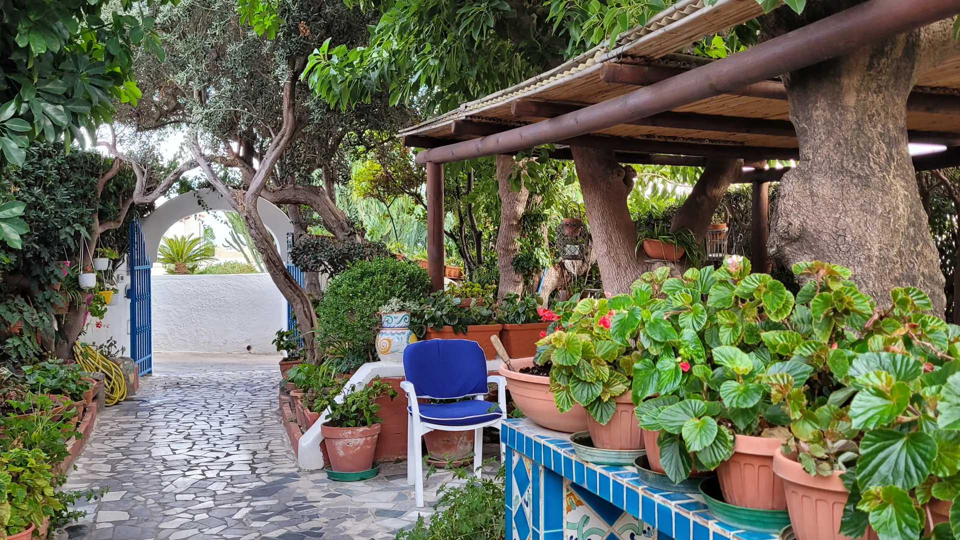 Et lille udsnit af den hyggelige have på Hotel Villa Maria på Ischia