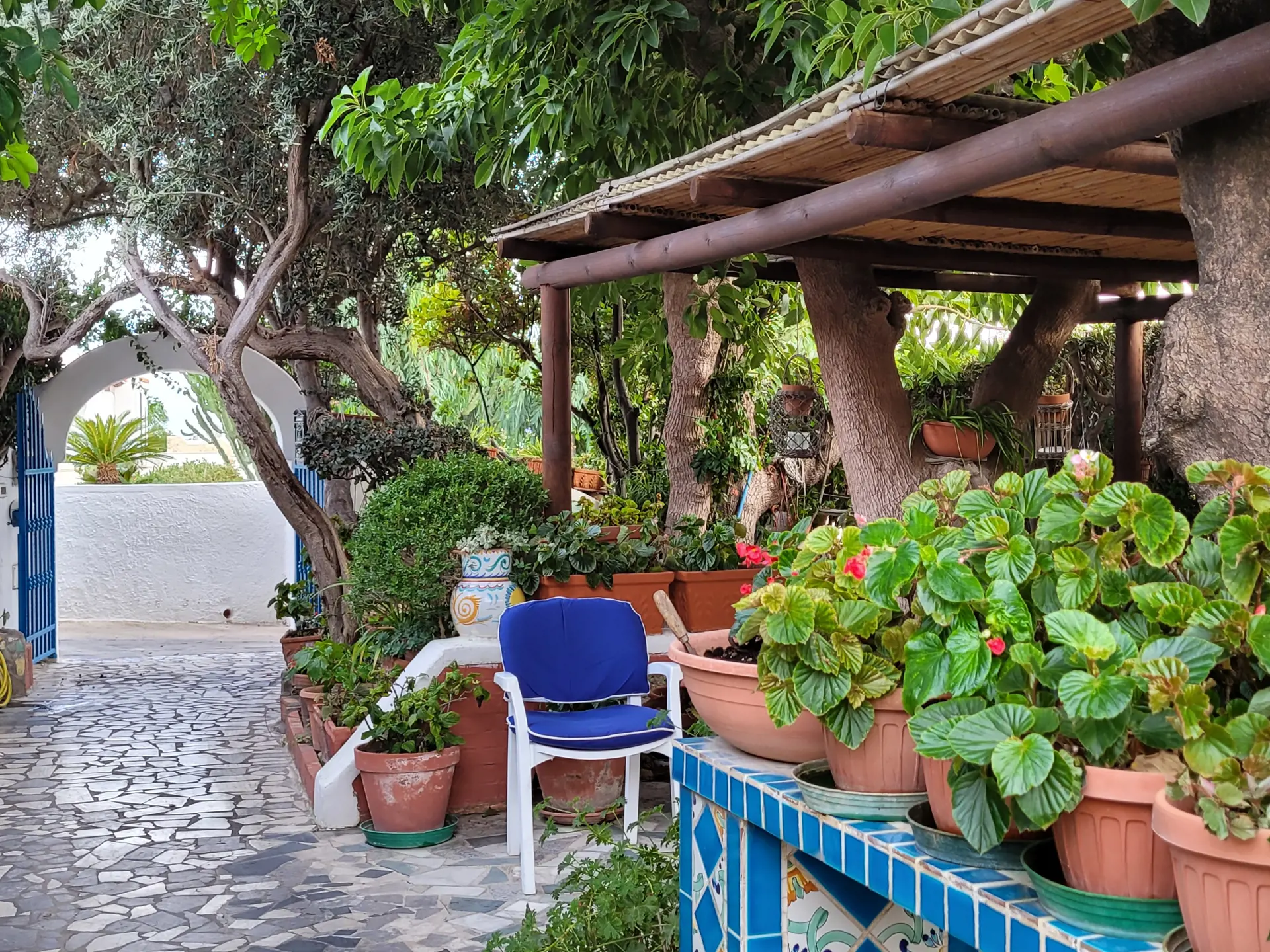 Et lille udsnit af den hyggelige have på Hotel Villa Maria på Ischia