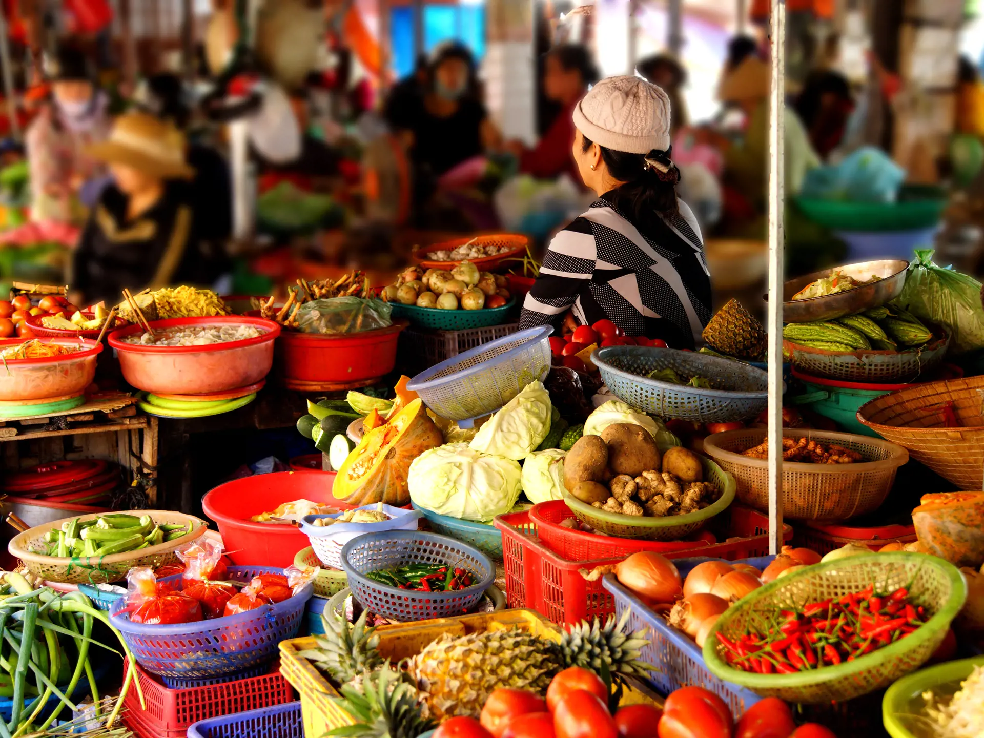 HOI AN - Besøg det lokale marked i Hoi An, hvor boderne bugner af grøntsager, frugt og friskfanget fisk, Check Point Travel