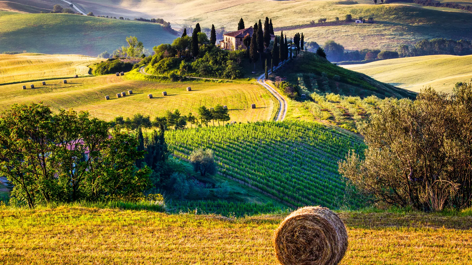 Toscana er flot på alle tider af året, og kommer man i efteråret, er der en dejlig ro over området.