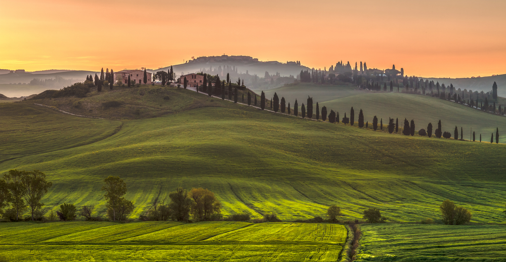 Shutterstock 751114954 Vingård I Morgendis Ved Crete Senesi Lidt Udenfor Siena