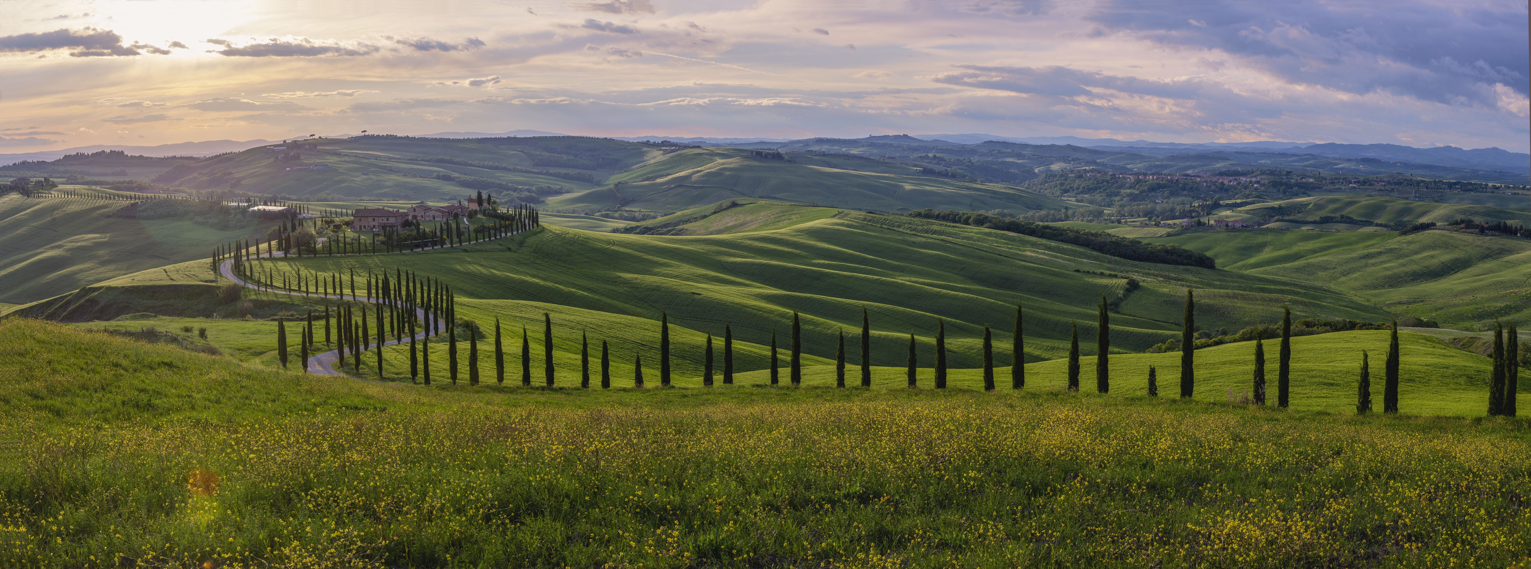 Shutterstock 1920924515 Typisk Toscansk Landskab Med Bølgende Grønne Marker, Pinjealléer Og Middelalderlandsbyer I Det Fjerne (1)