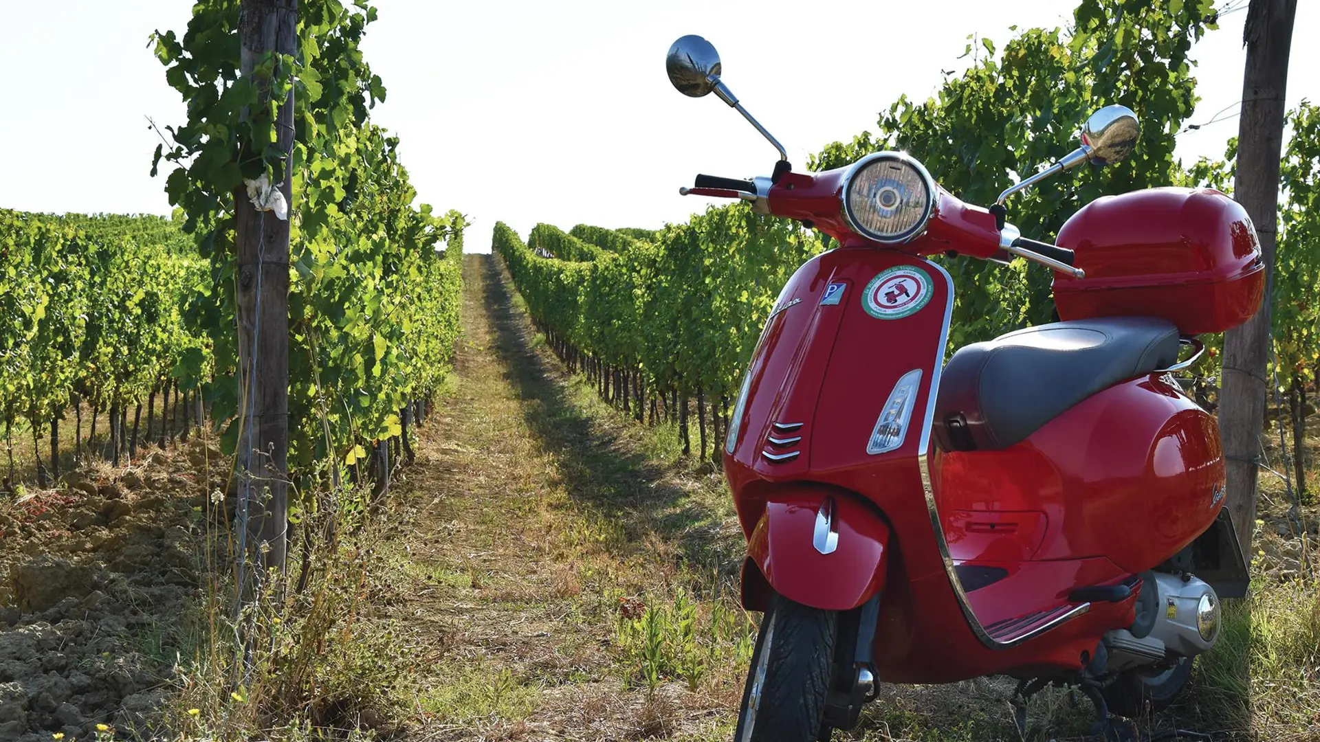 Vinmarker og smukke landskaber venter den rejsende i Toscana.