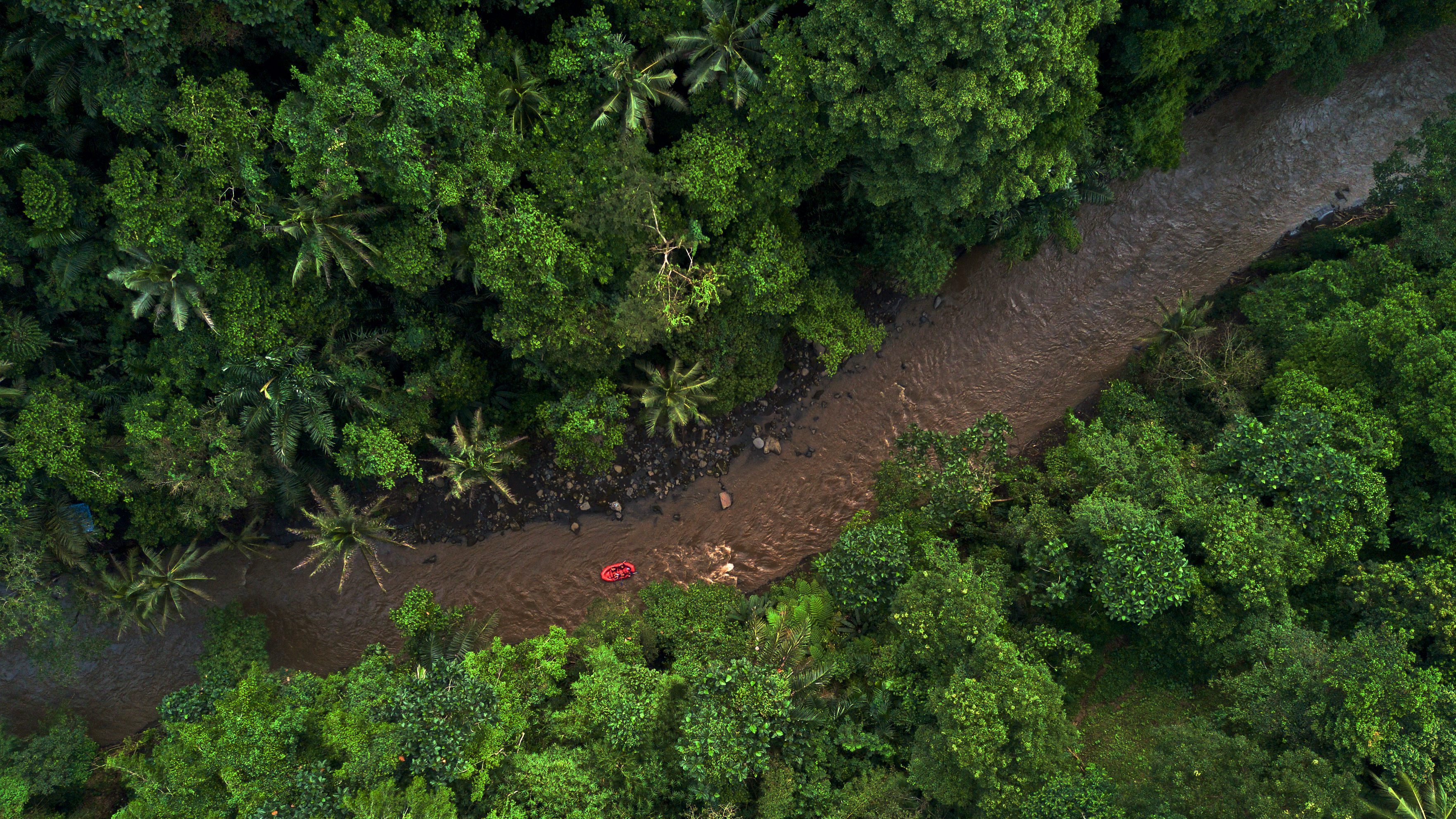 Shutterstock 1595822935