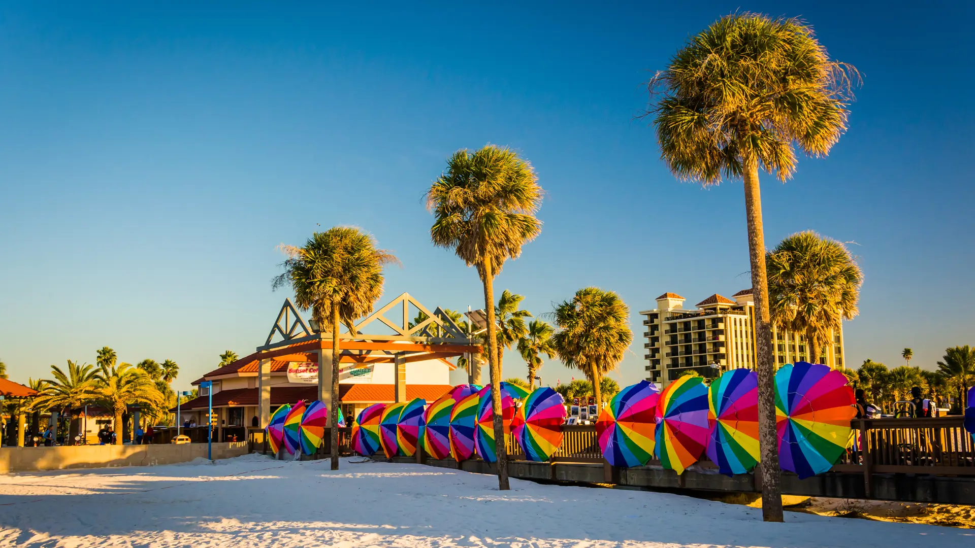 Shutterstock 238059493Palm Trees And Colorful Beach Umbrellas In Clearwater Beach, Florida.